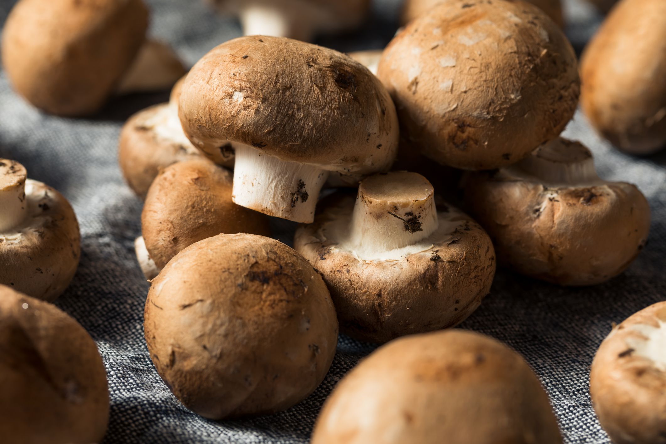 16. Portobello Mushrooms