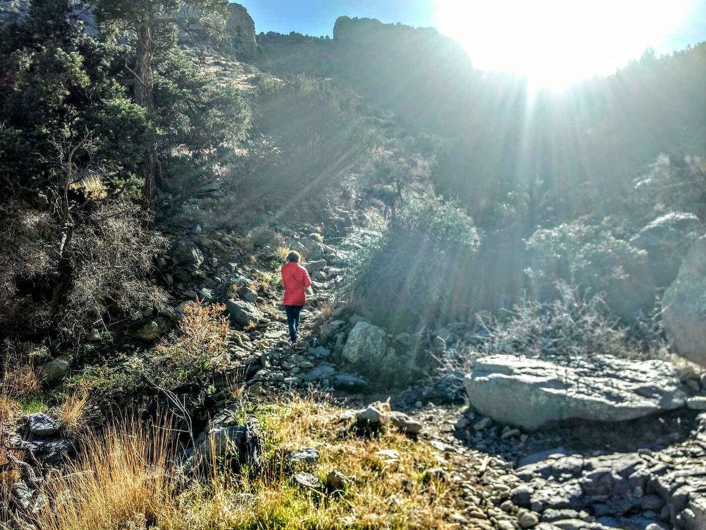 Rockhound State Park, New Mexico