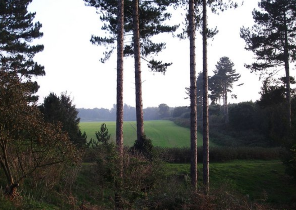 Rendlesham Forest, 1980