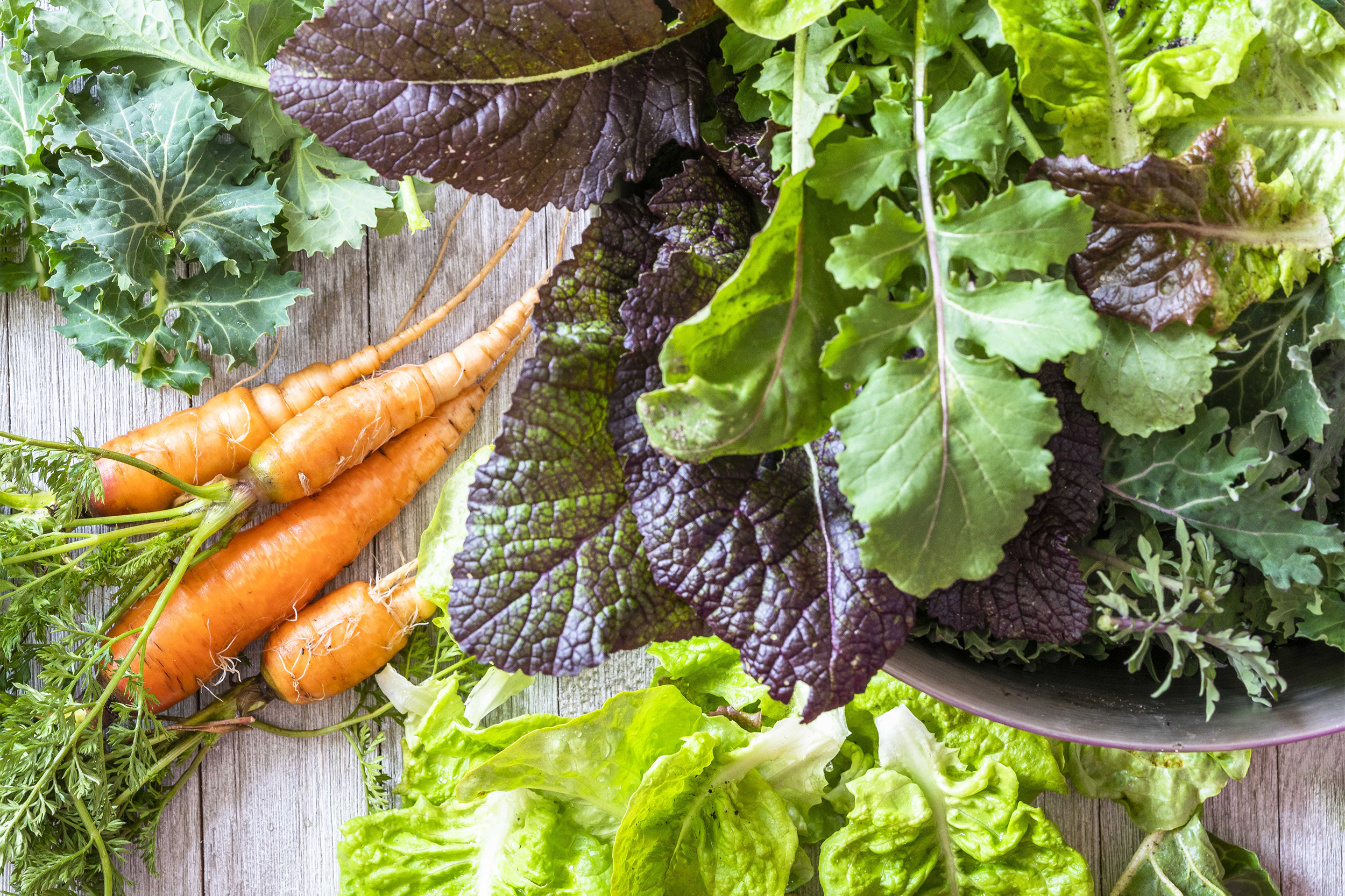 Winter vegetables