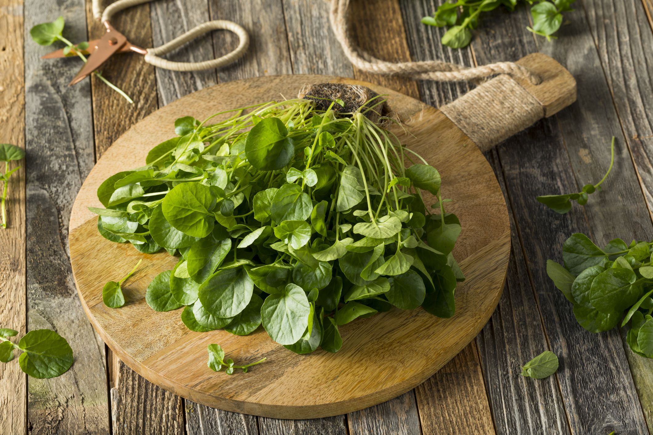 8. Watercress