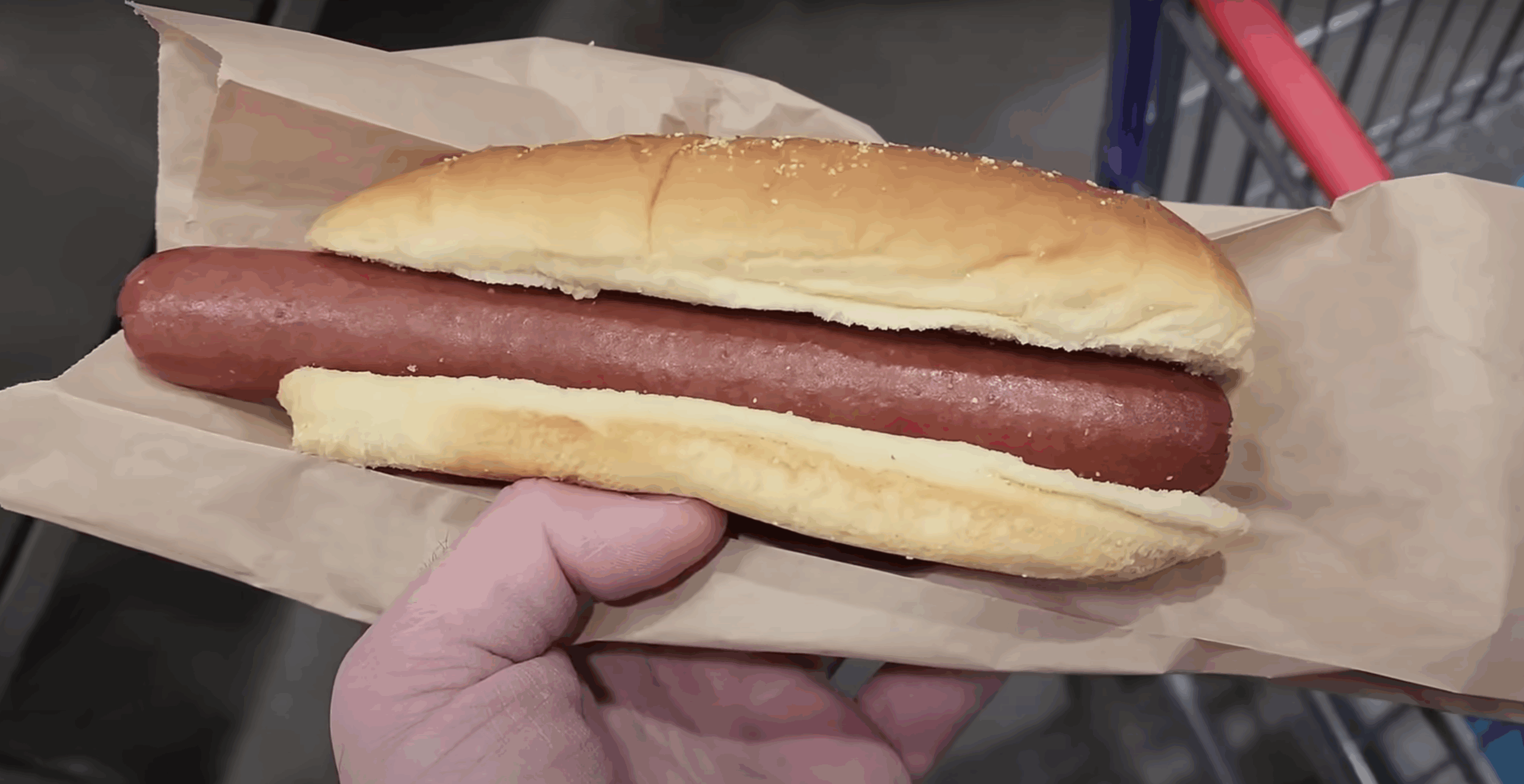 hot dog in man's hand