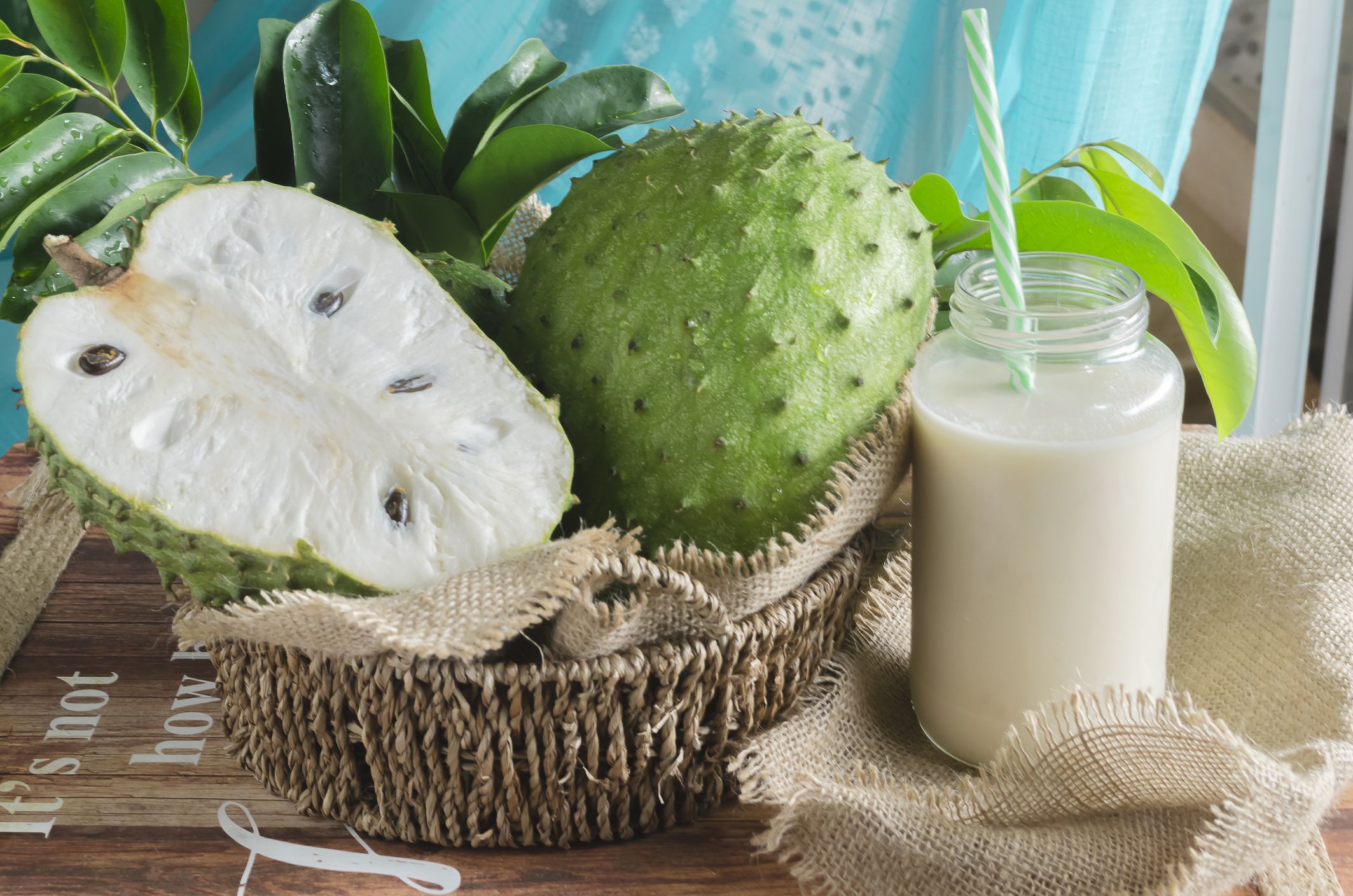 Annona muricata, soursop3 among many other names, is a tree of the Annonaceae family, cultivated in many tropical countries for its edible fruits. The guánabana is a fruit