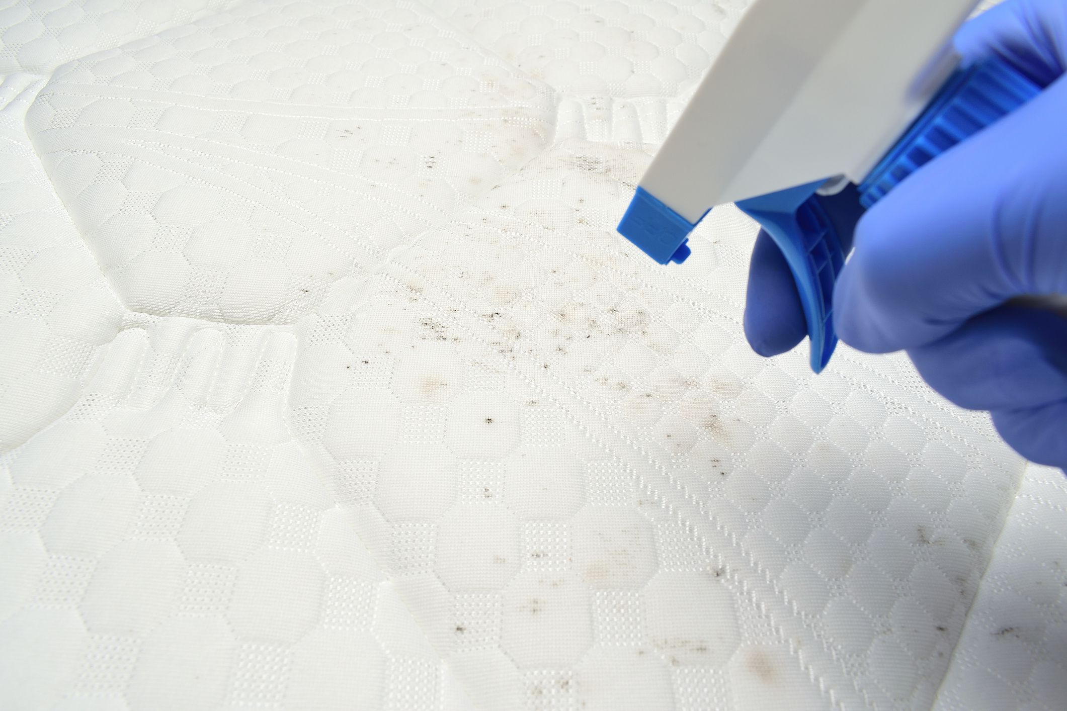 Foam cleaner spray. Cleaning a mattress cloth with a liquid stain remover. Hand pulls a trigger.