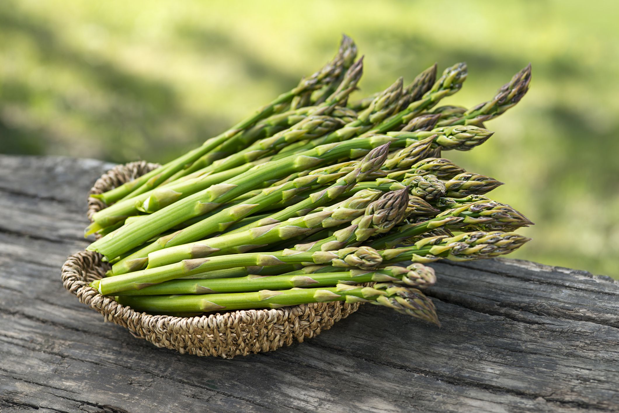 Asparagus. Fresh Asparagus. Pickled Green Asparagus. Bunches of green asparagus in basket, top view- Image