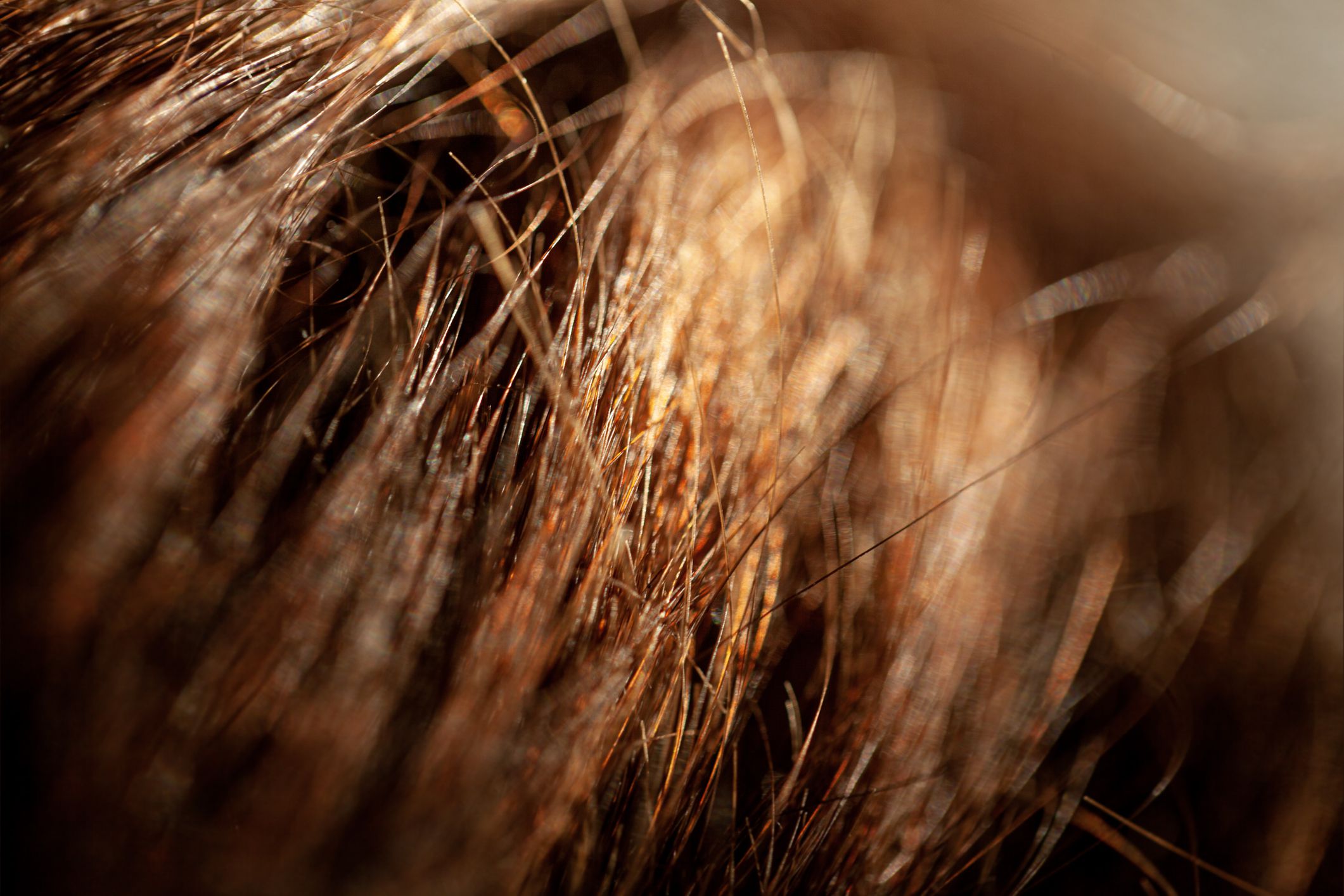 Close up hair