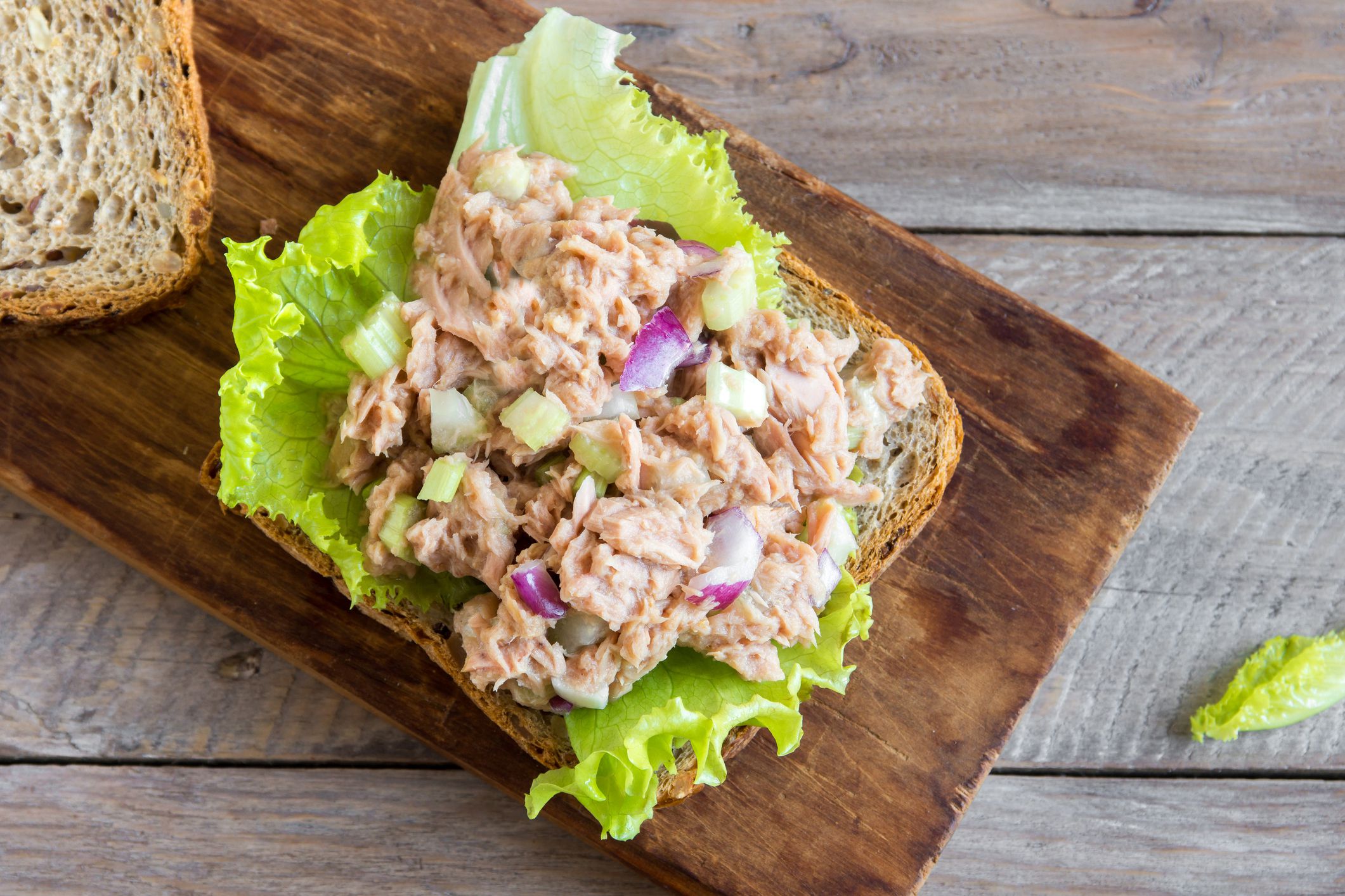 tuna salad on bread