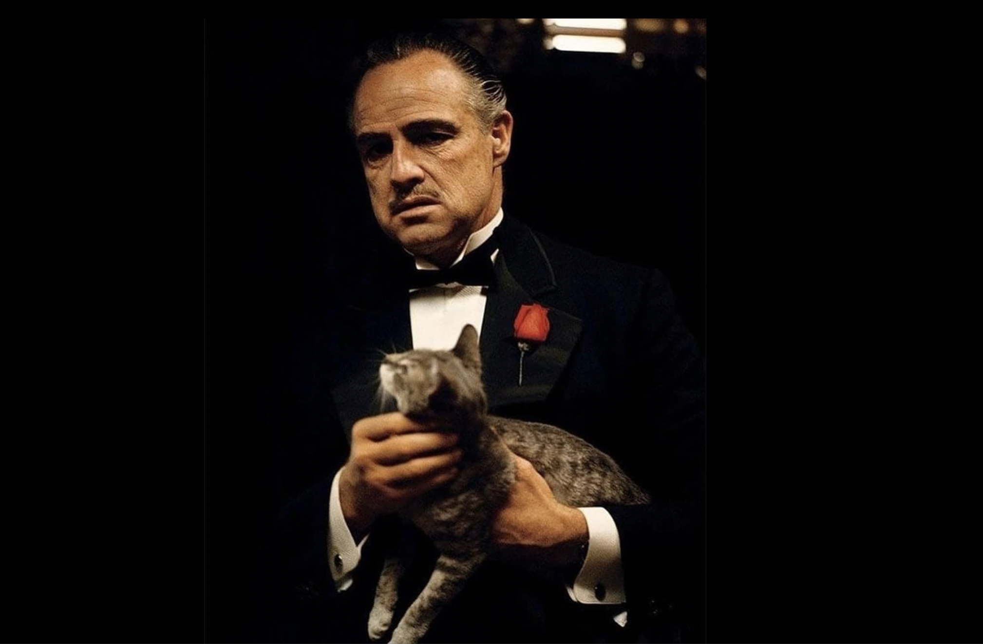 The Godfather Y62eiya