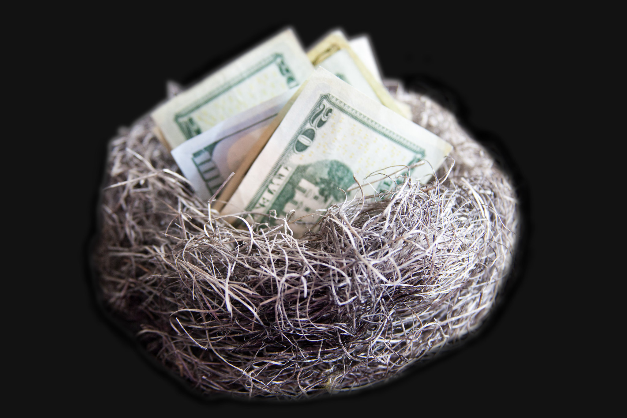 Bird's Nest Filled With U.S. Dollars on a Black Background