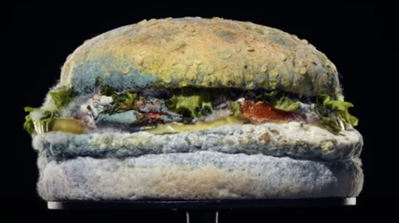 Burger King moldy Whopper ad
