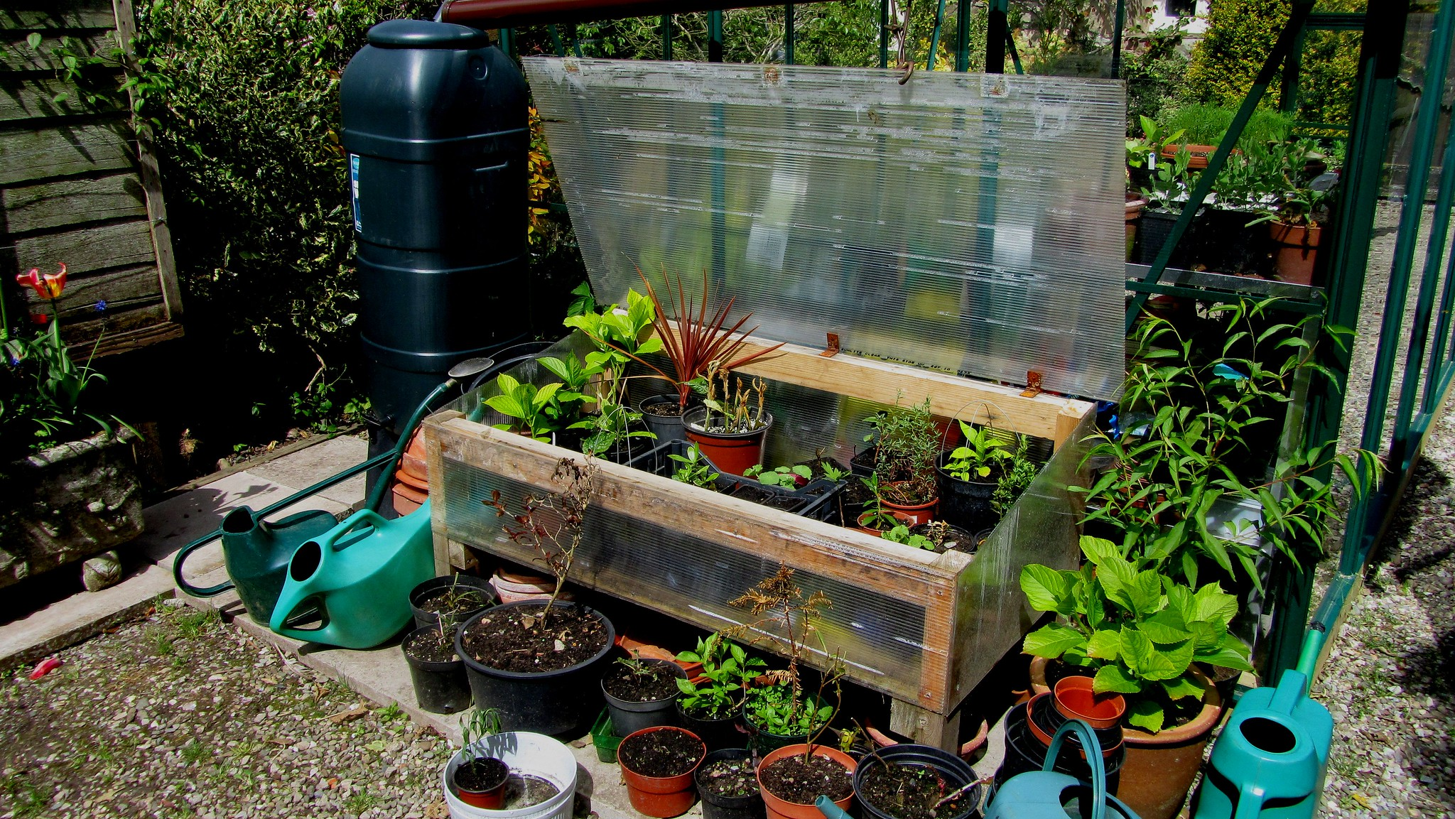 Handmade Cold Frame With Plants in a Garden