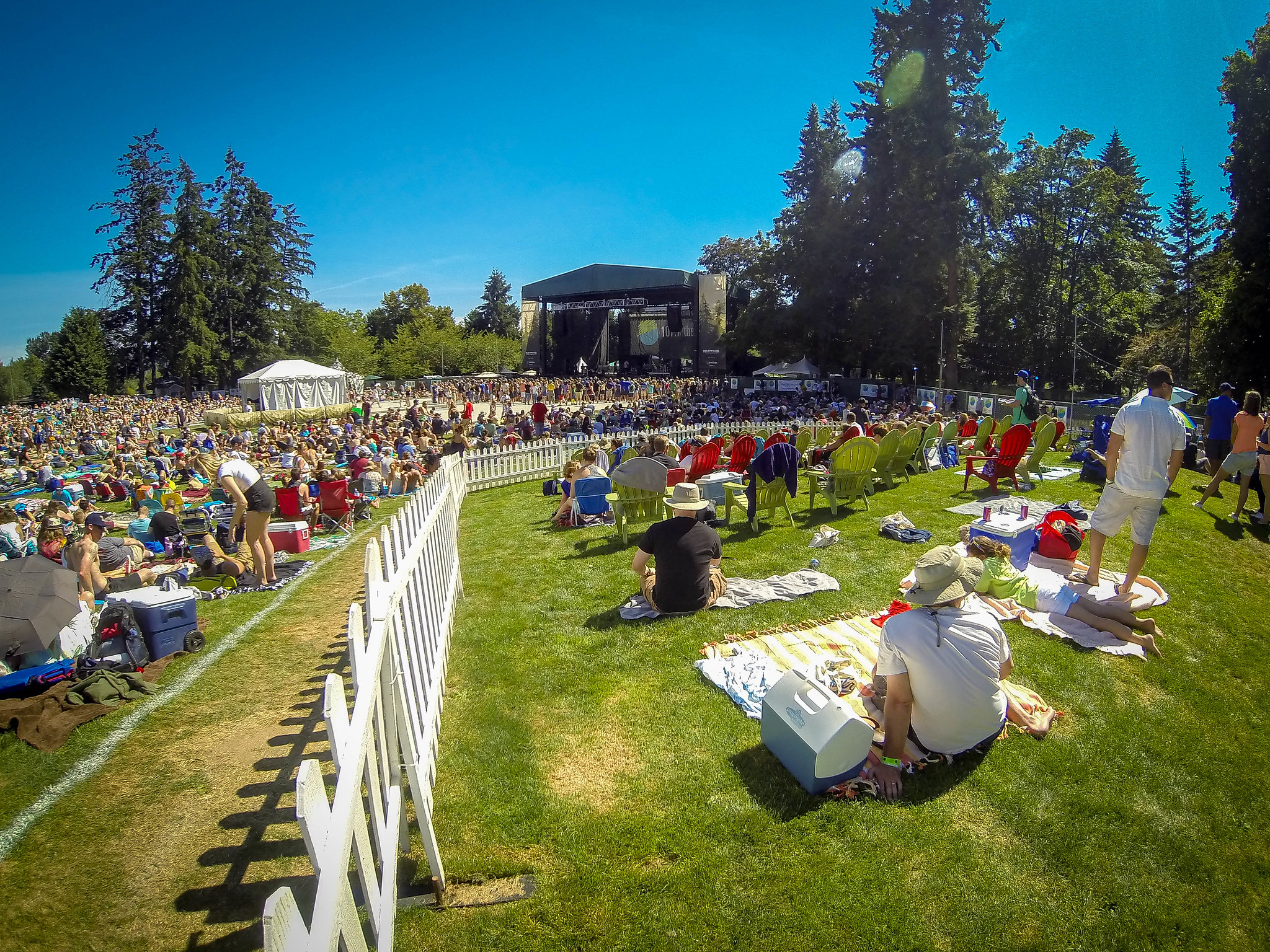 Summer Concert at Marymoor Park Concert, Redmond, Washington