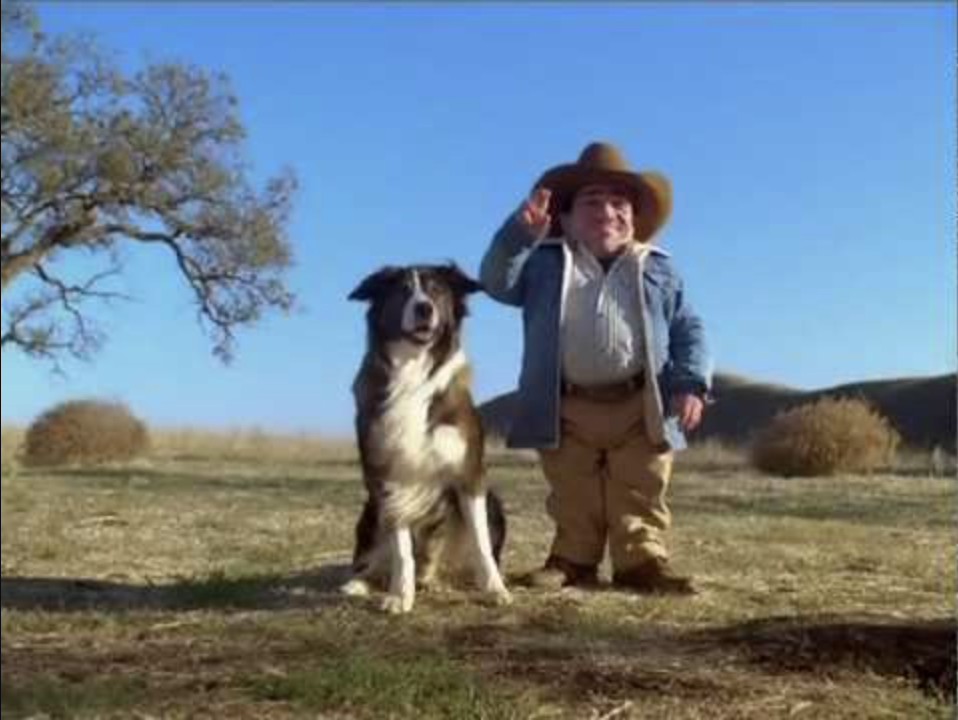 Jack in the box mini sirloin burgers ad