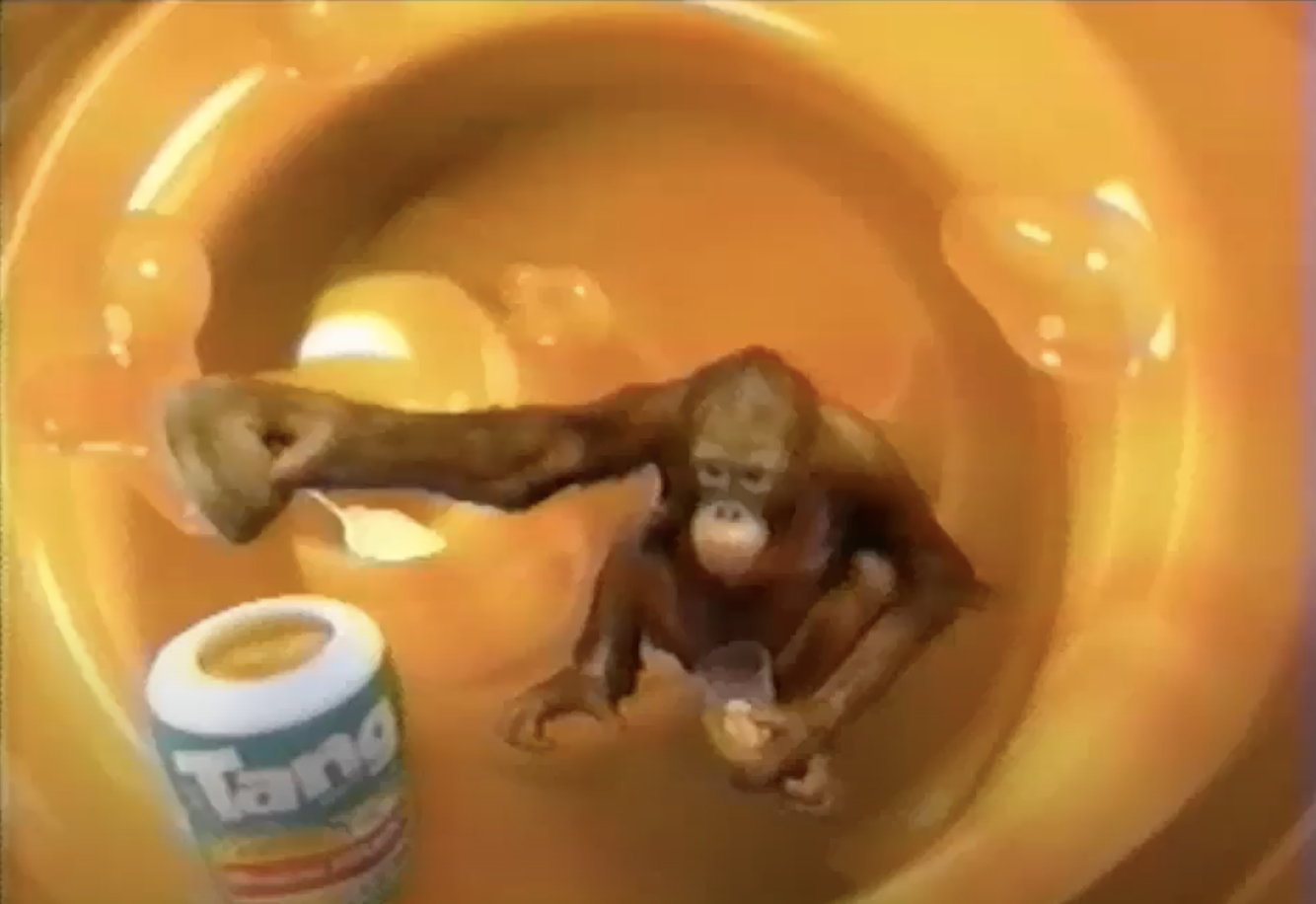 Tang: ‘Tang Orangutans’