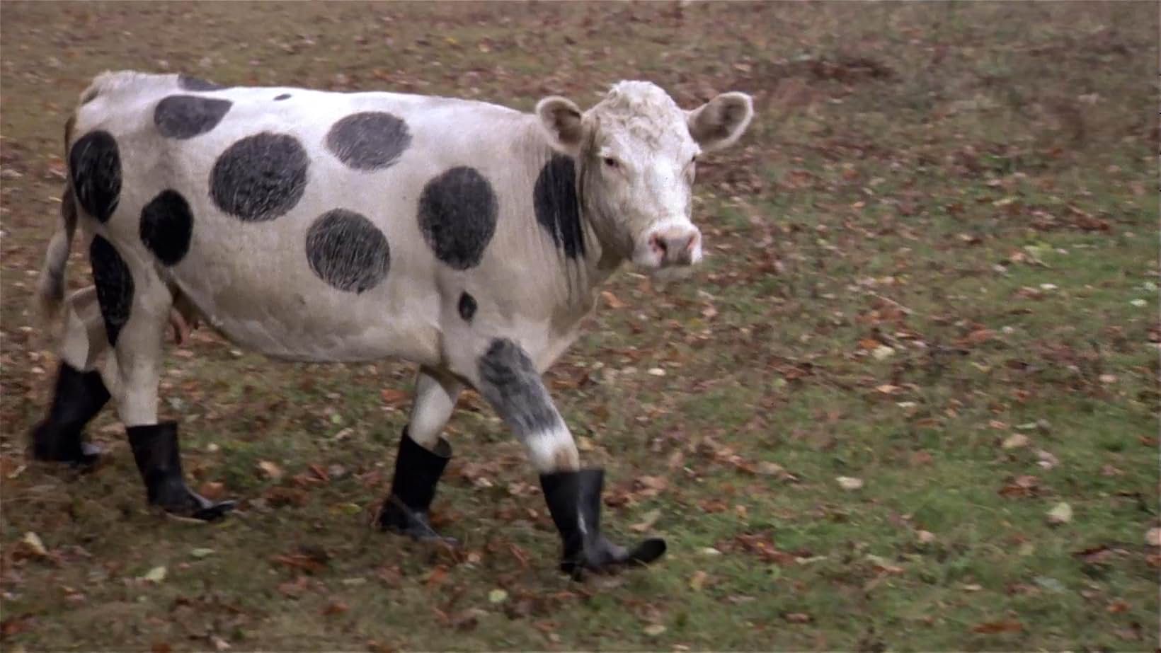 Top Secret!, 1984