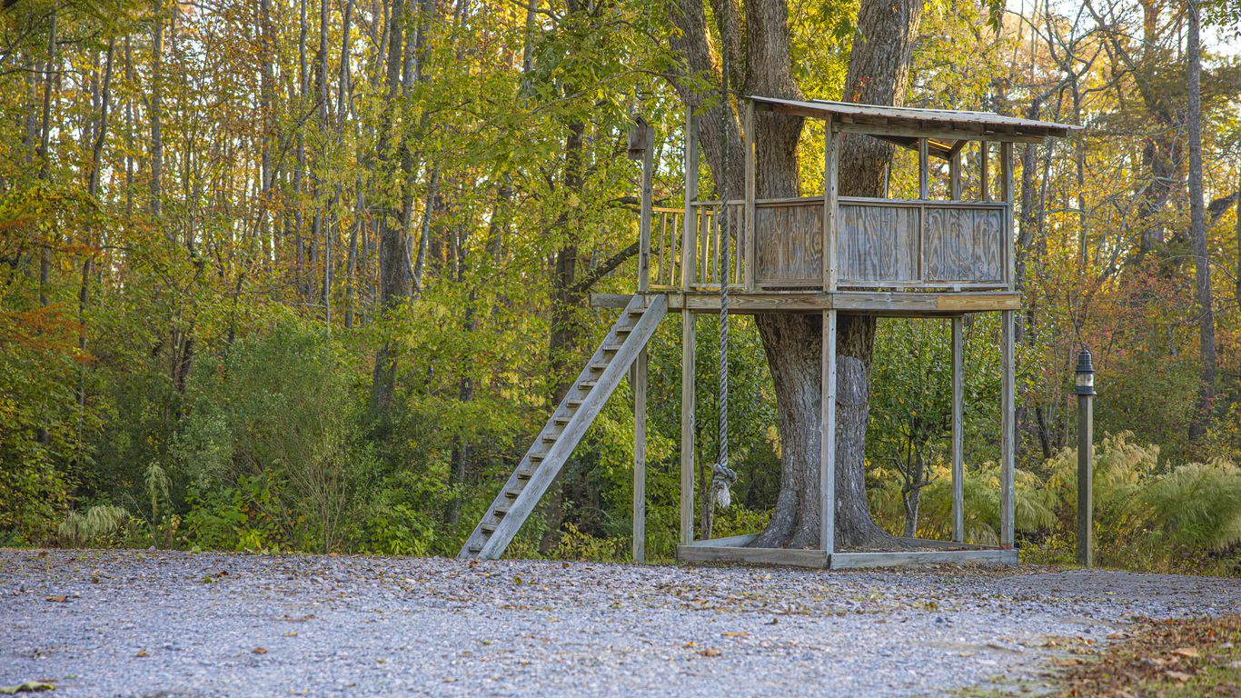 2. Building Treehouses