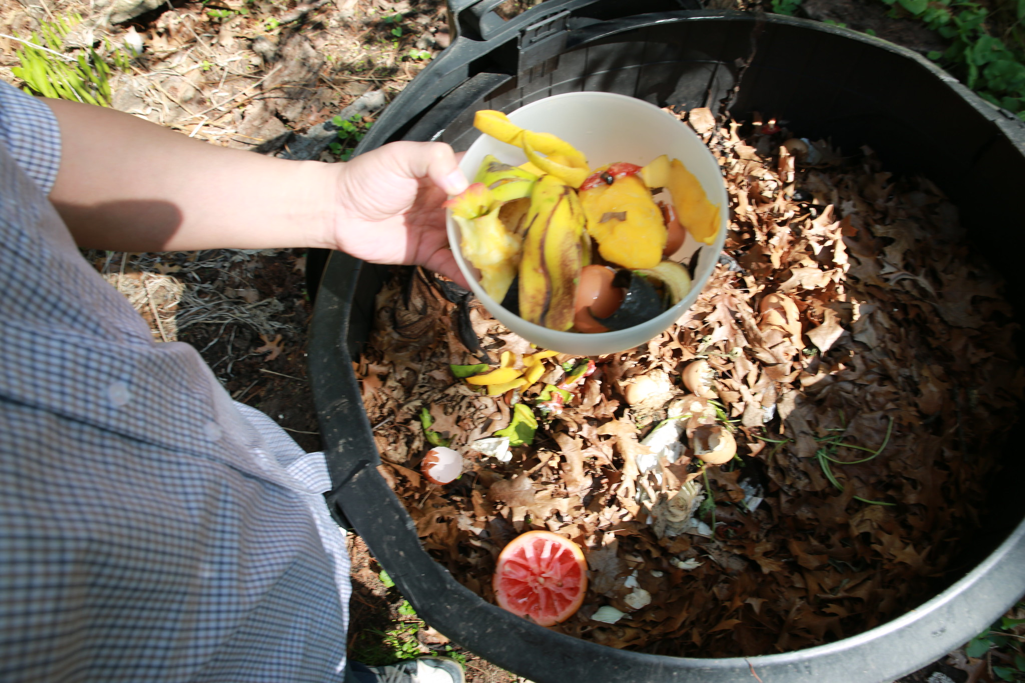 Man Holding Bowl of Vegetable and Fruit Scraps Over Compost Pile for Garden