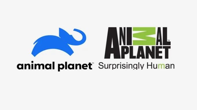 Animal Planet logo rebrand