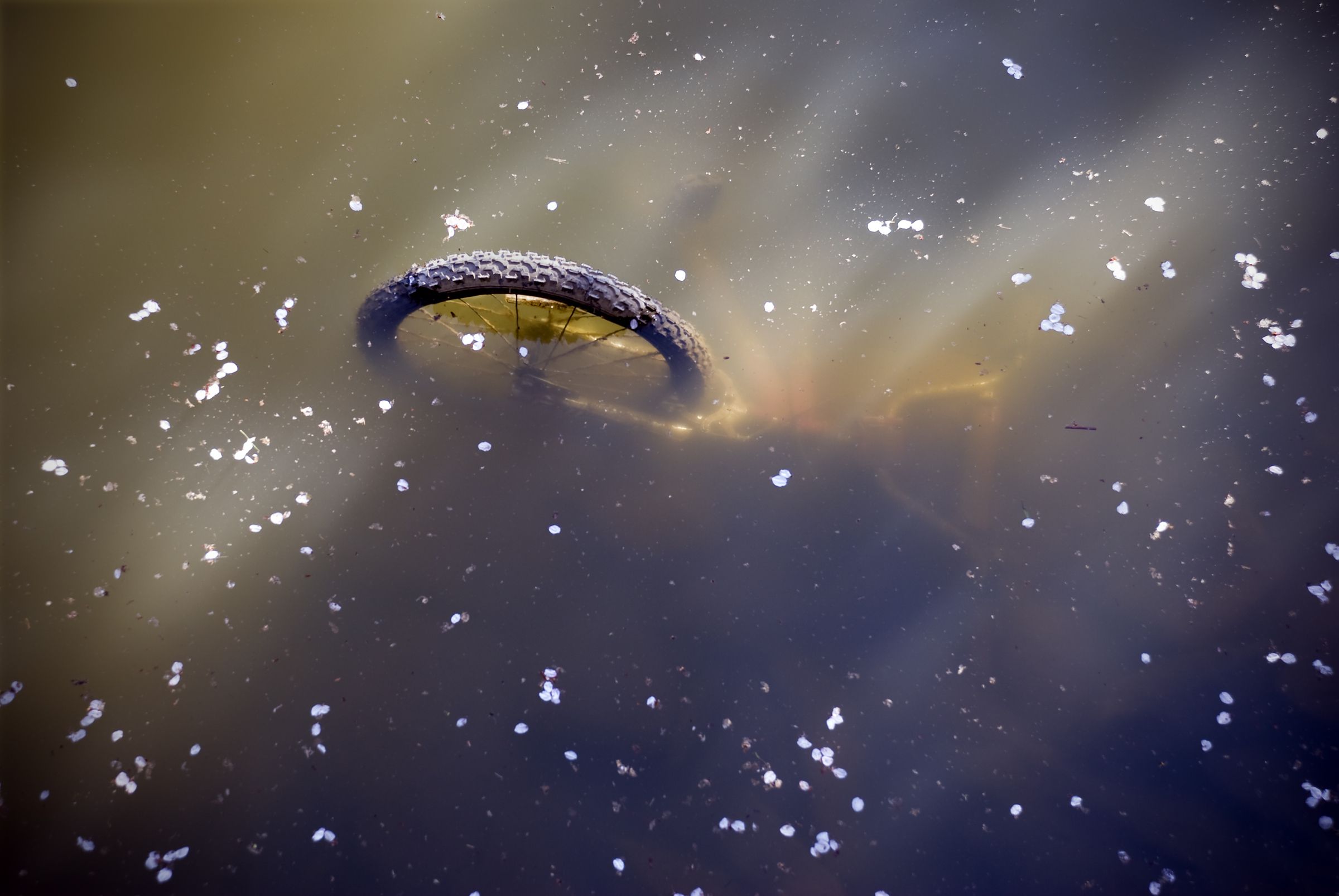 A bicycle submerged in water