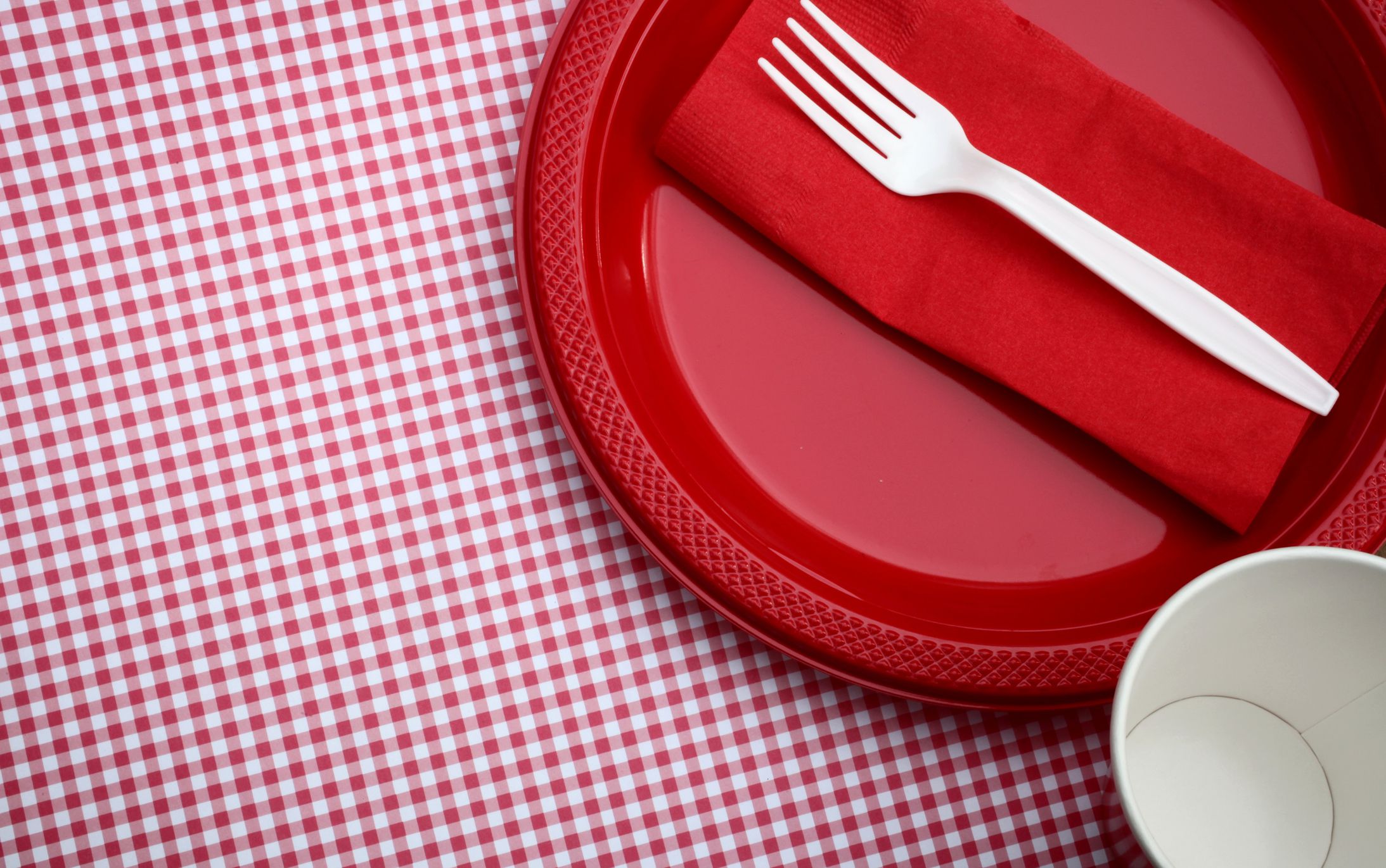 Red and White Checkered tablecloth with plastic plate and fork, paper napkin and cup.