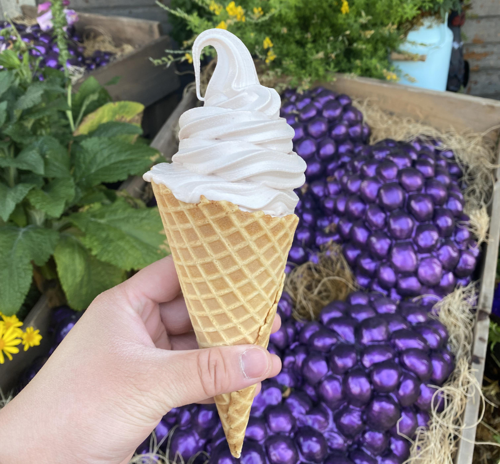 Boysenberry Soft Serve