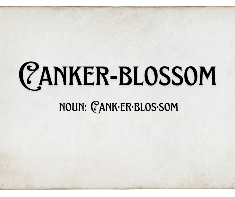 Canker-blossom