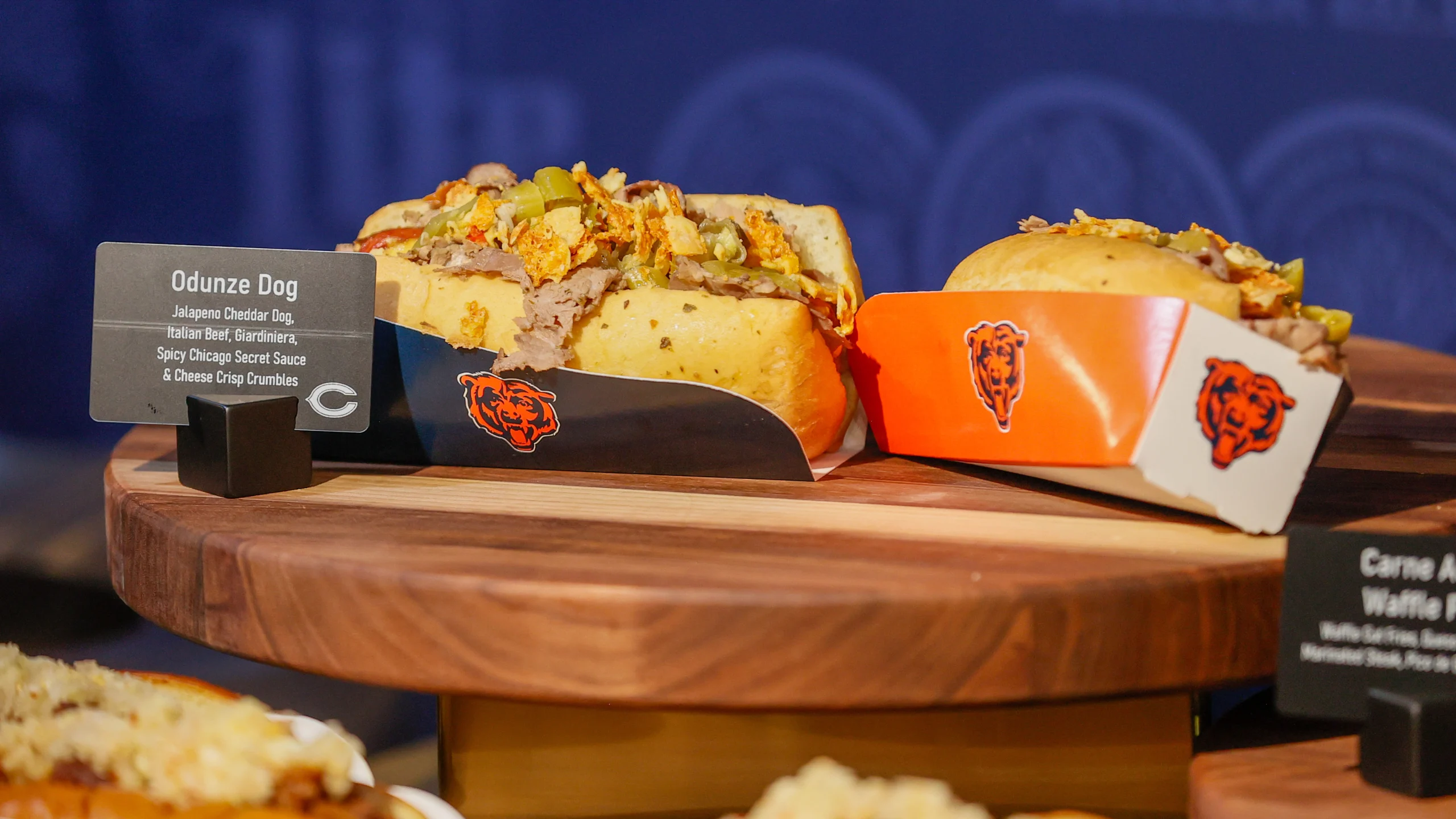 Odunze Dog, Chicago Bears, Soldier Field