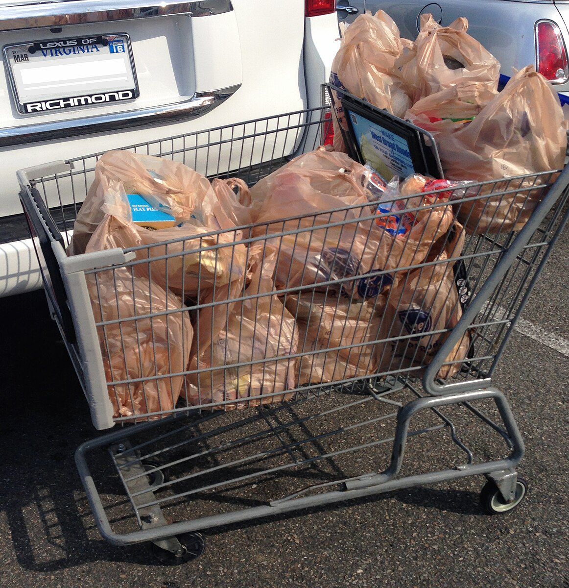 Plastic grocery bags