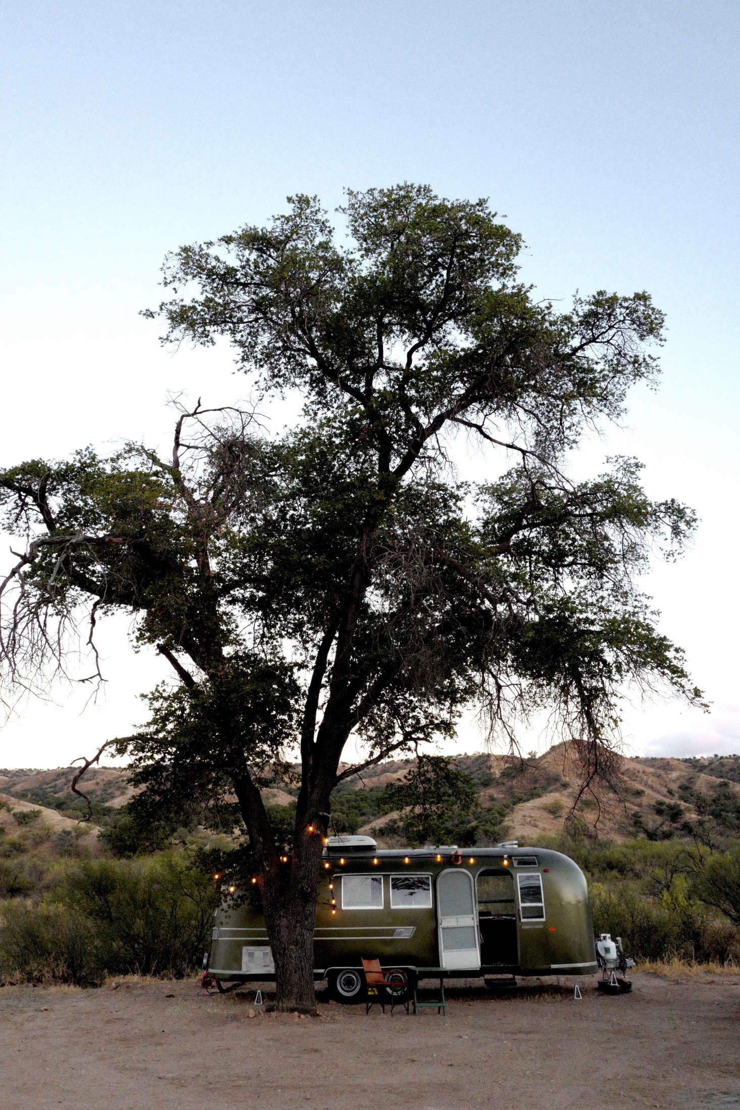 an Airstream trailer parked under a tree