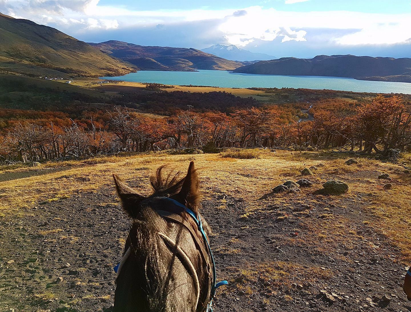Awasi Patagonia: Chile