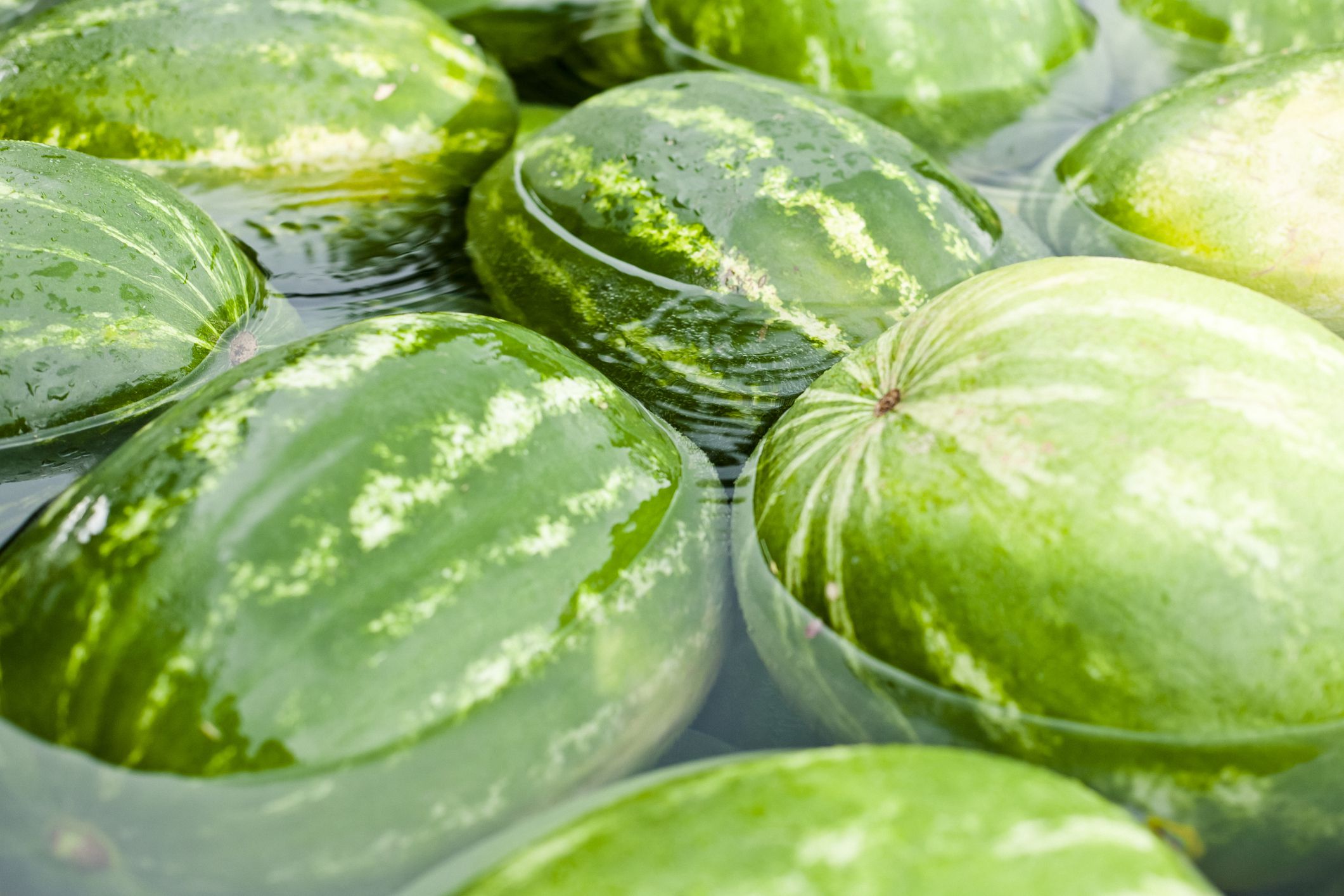 Heap of watermelon at farmers market. Selective focus.