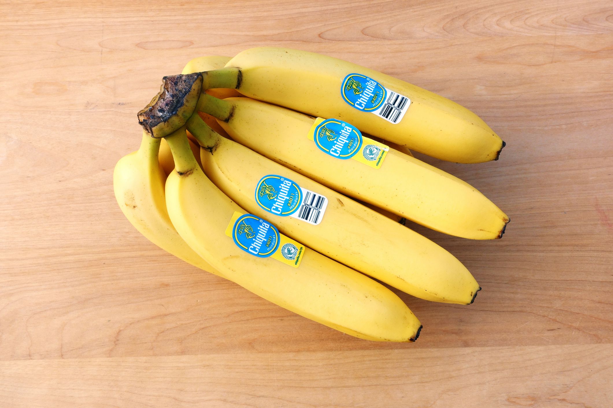 West Palm Beach, USA - August 13, 2015: A bunch of ripe yellow Chiquita bananas from Honduras. The four top bananas each have a Chiquita sticker attached. One sticker shows certification by the Rain Forest Alliance.