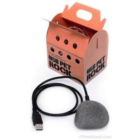 usb powered pet rock