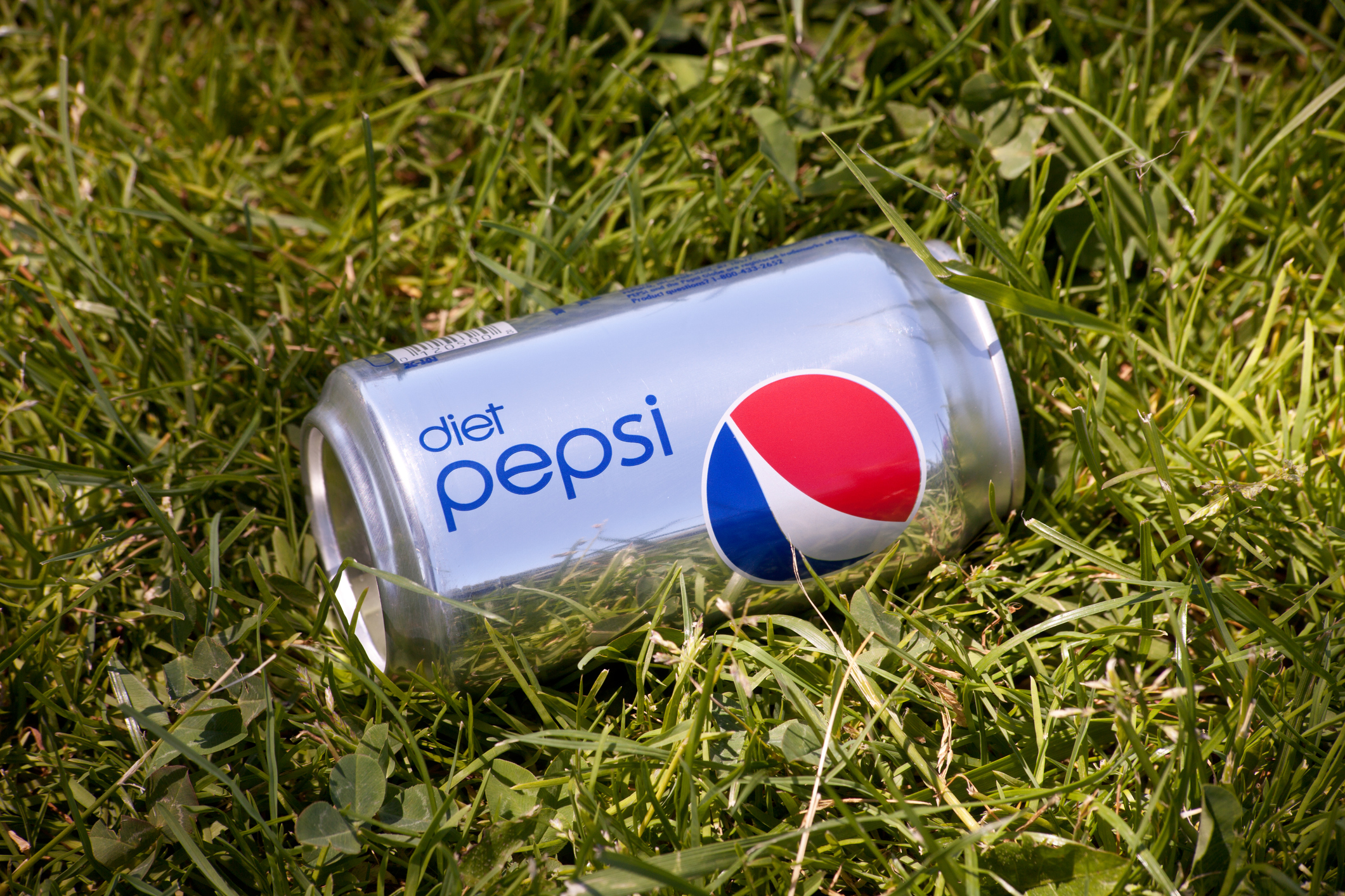 Closed Can of Diet Pepsi Laying in Grass
