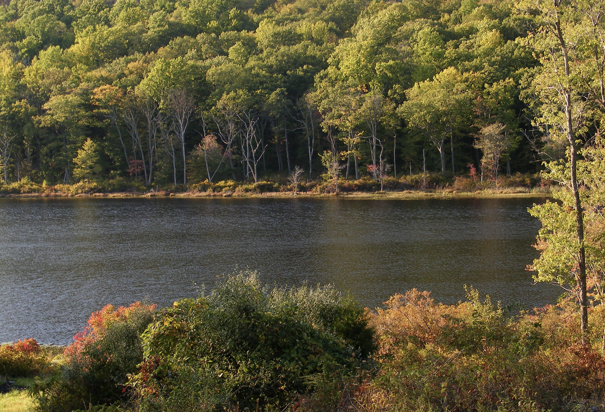 Camp Crystal Lake