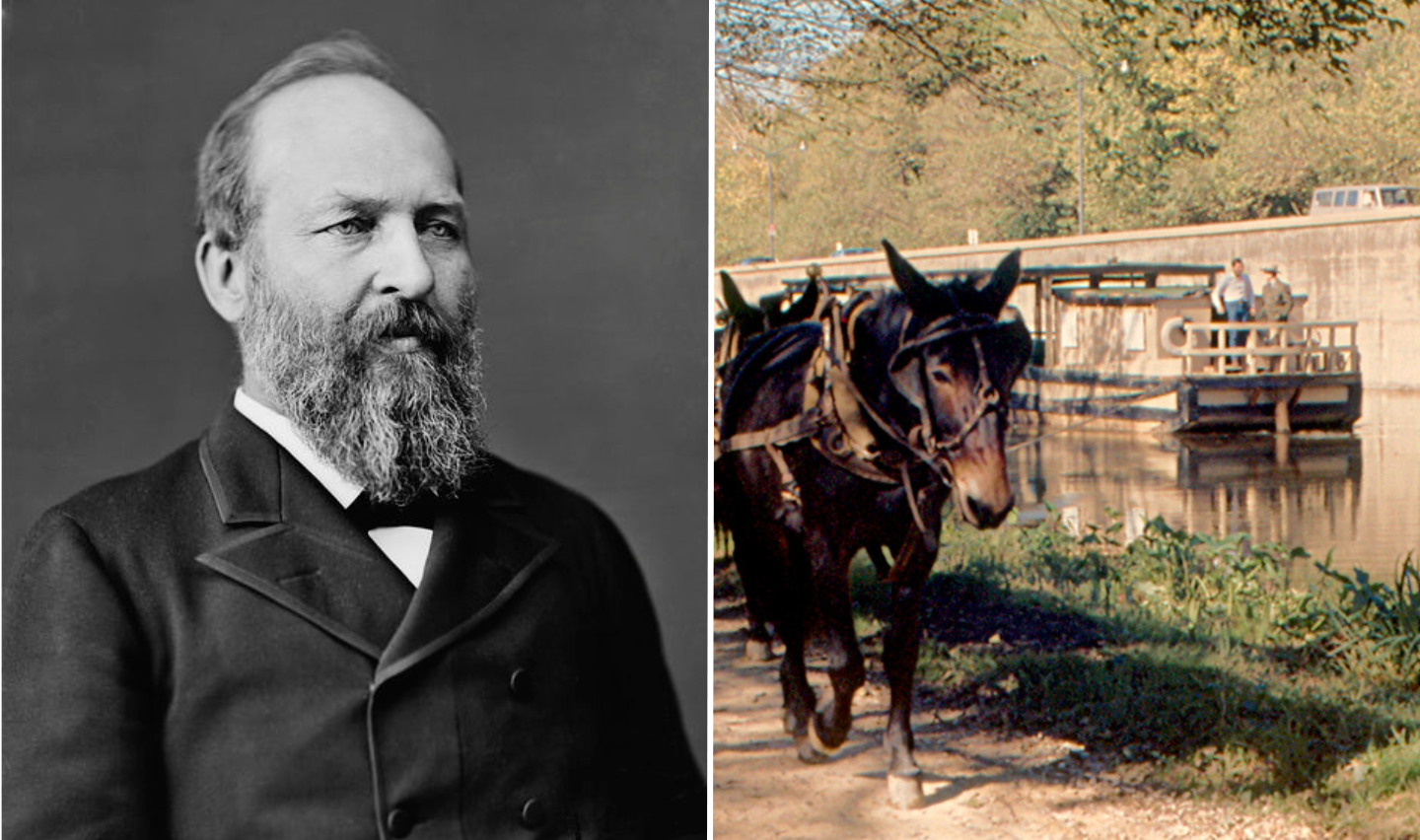 James A. Garfield first job as a mule tender for mules pulling boats on a canal