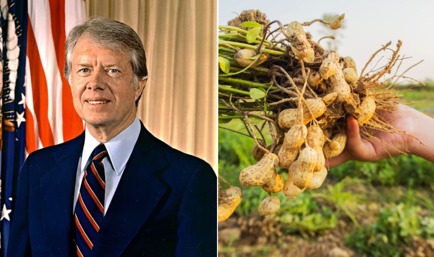 James Earl Carter first job as a peanut farmer