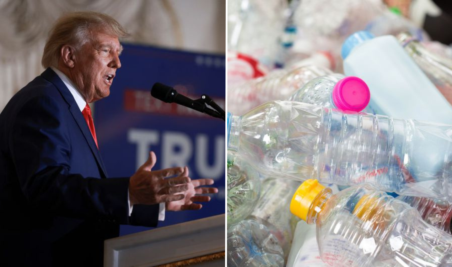 Donald Trump first job as a soda bottle collector