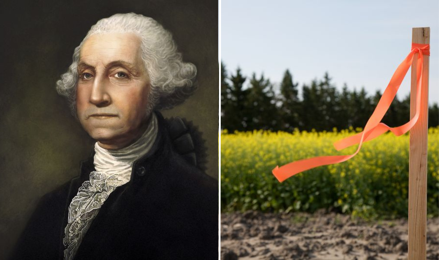 George Washington first job Surveyer