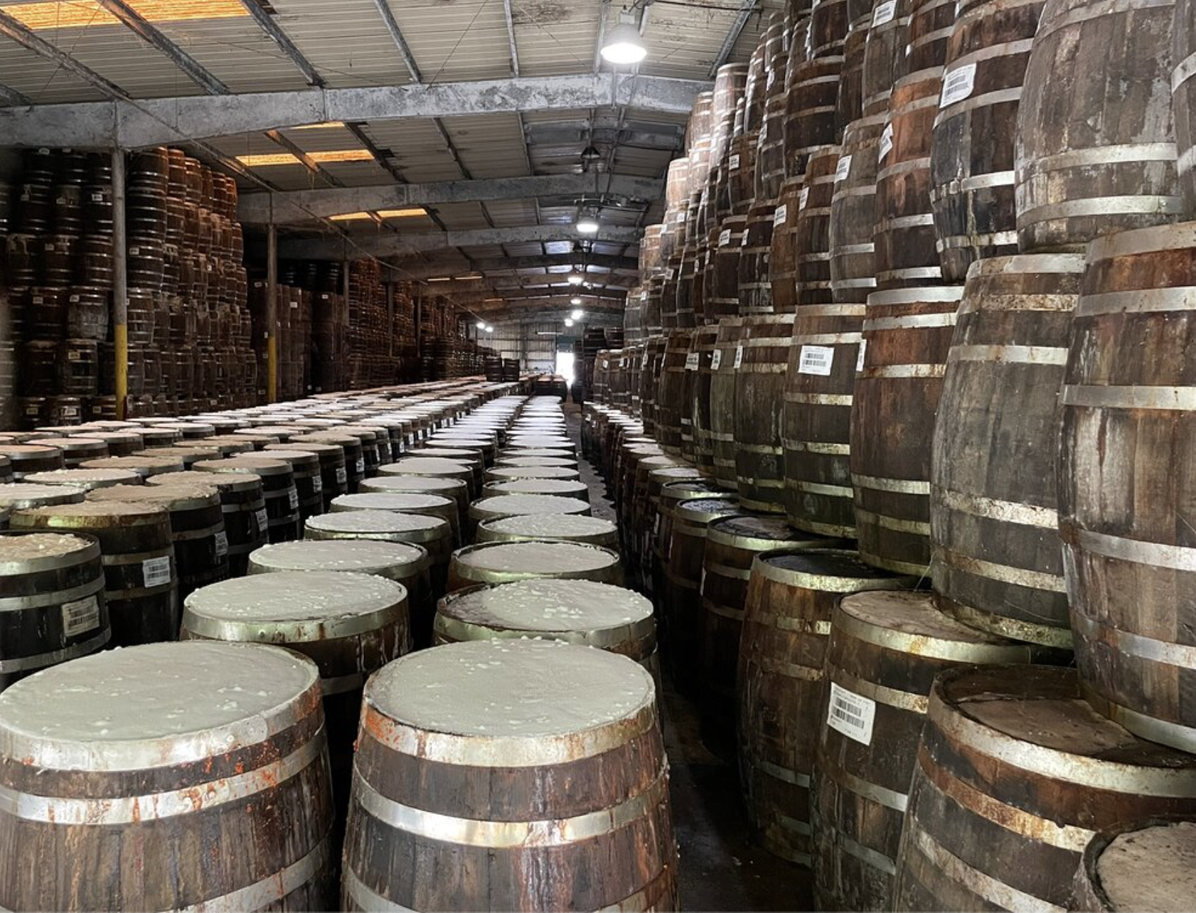 Tabasco Barrels