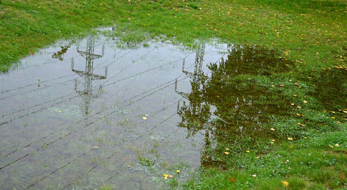 Standing water in yard