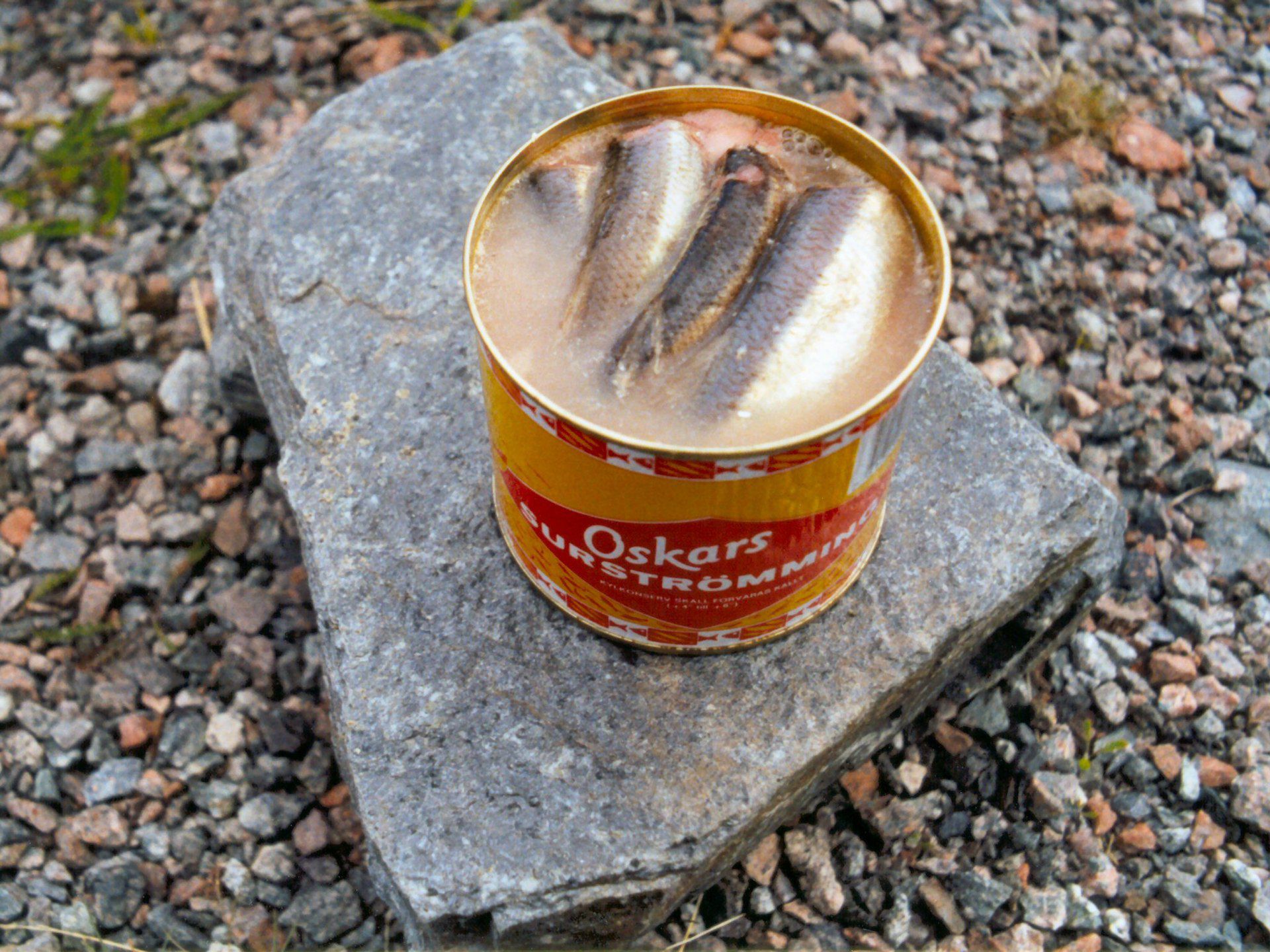 Surströmming – a fish speciality from north Sweden
