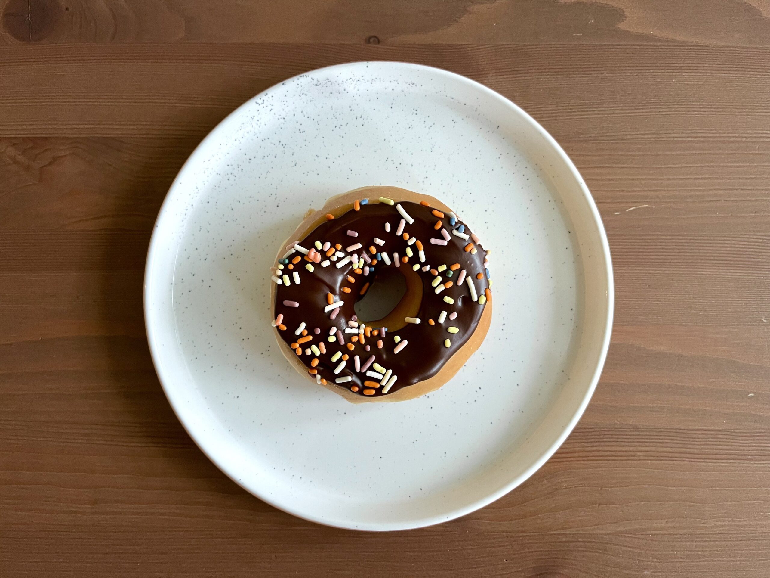 Dunkin Donuts Chocolate Frosted with Sprinkles