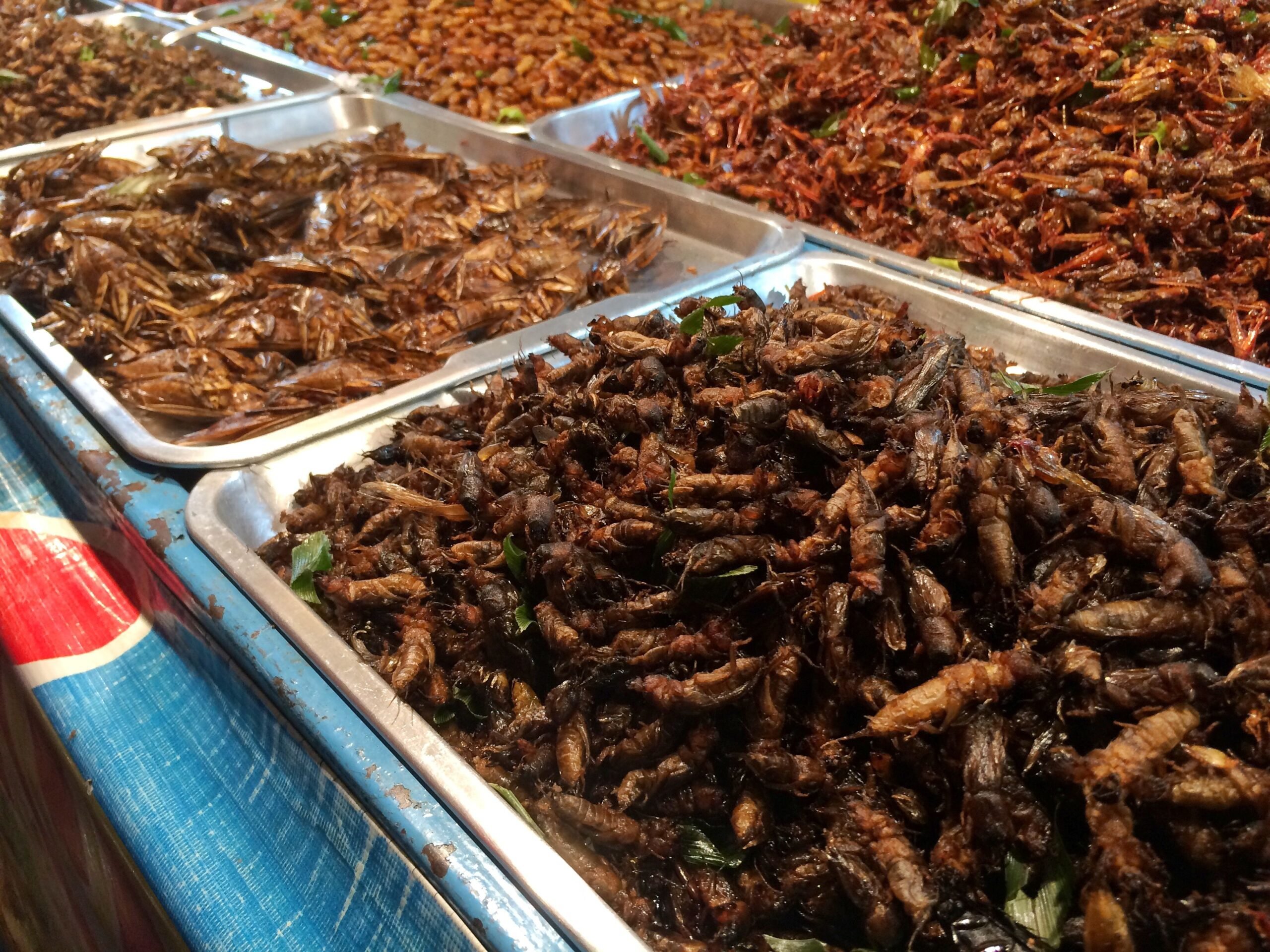 Street food market at night, Thai style food, Fried insects.
