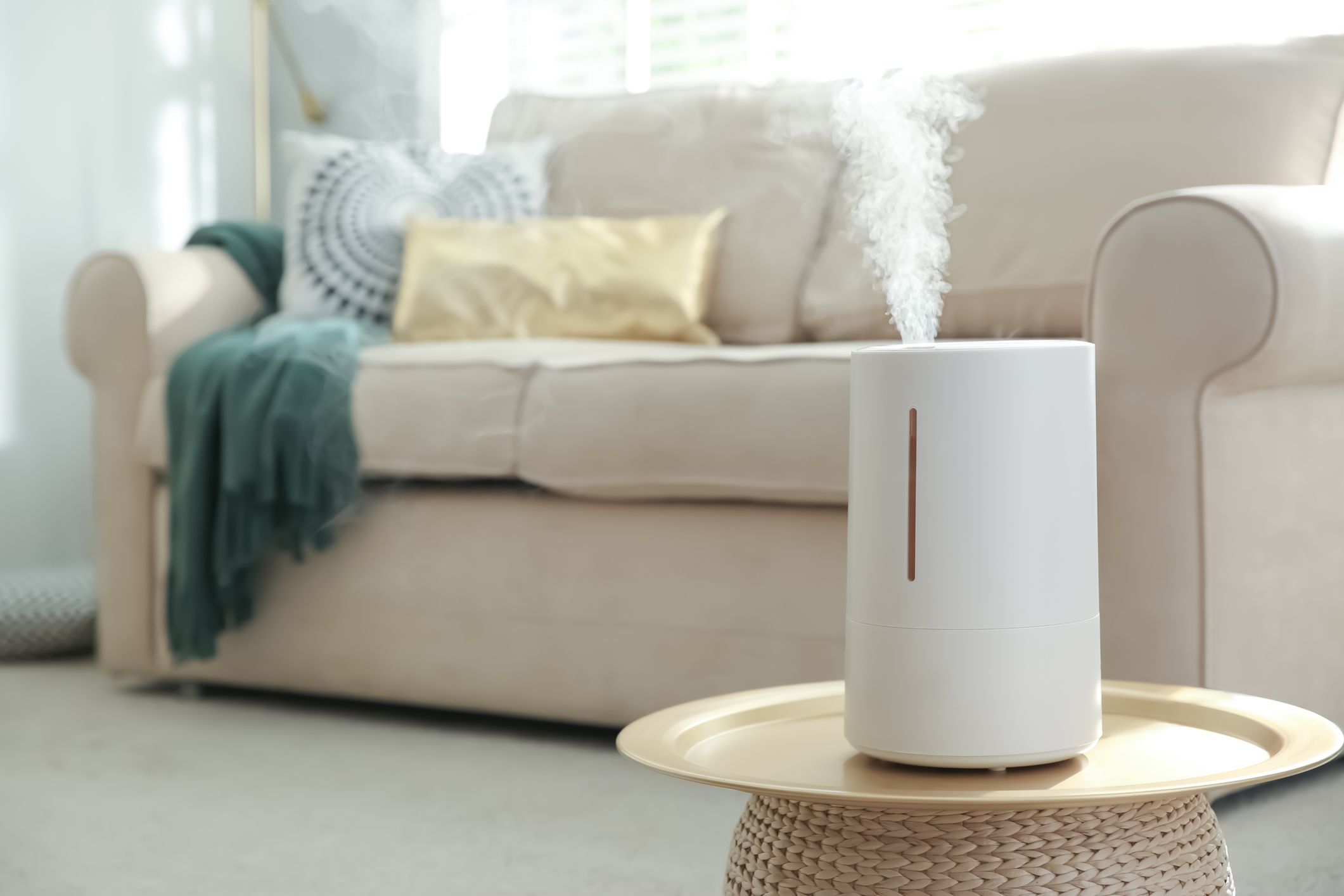 Modern air humidifier on table in living room. Space for text