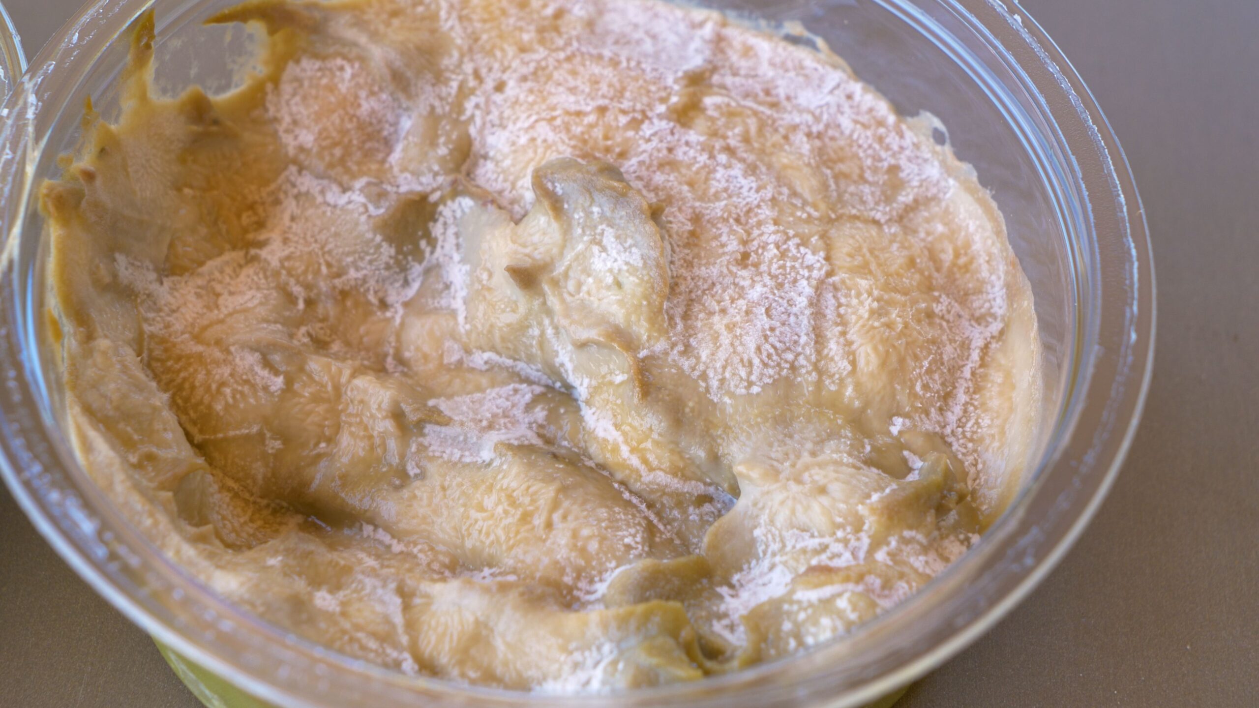 MACRO, DOF: White layer of mold forms on the top of a delicious jarred tahini paste. Homemade organic hummus spoils after being left in the fridge for too long. Microorganisms forming on a kosher dish