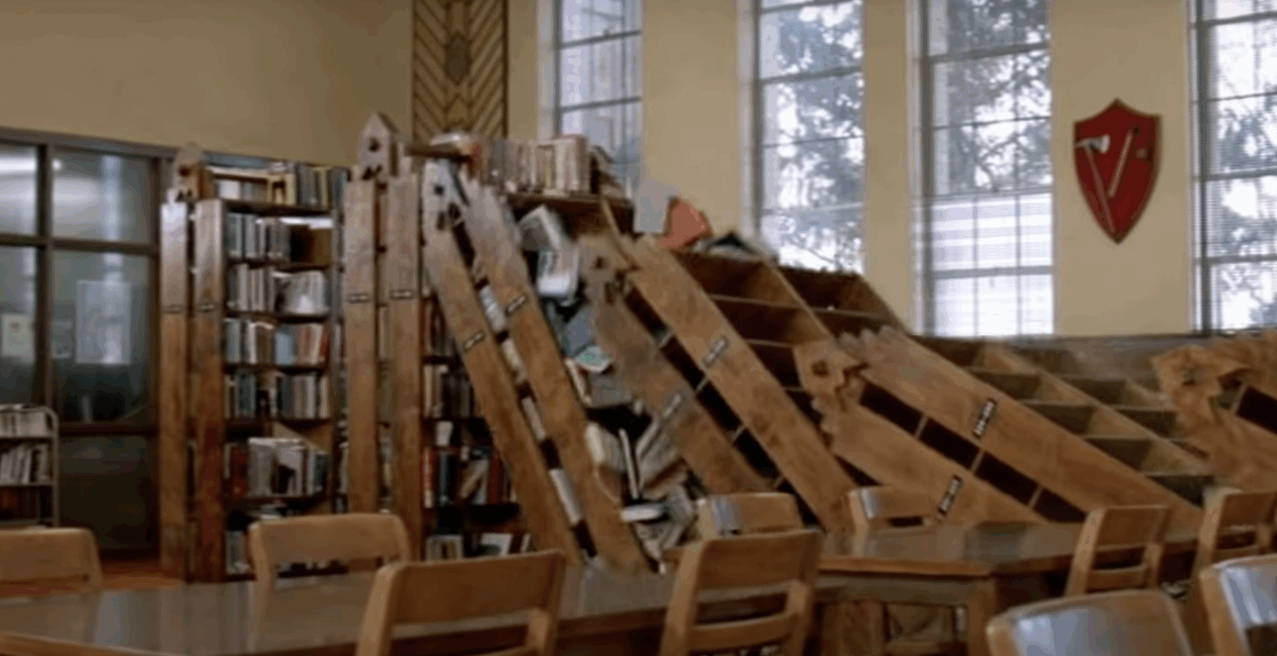 Library dominos