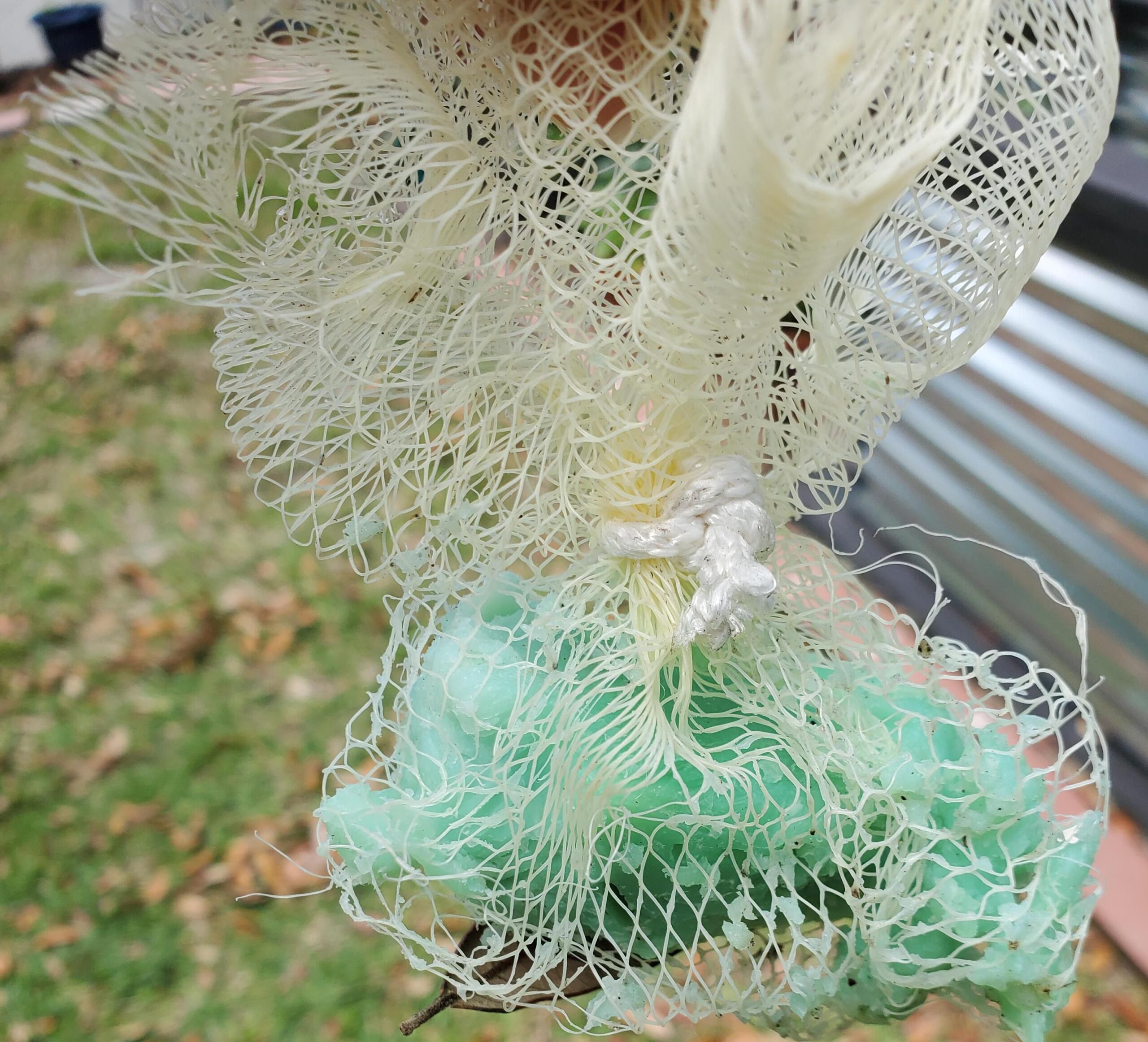 Irish Spring Soap in Garden