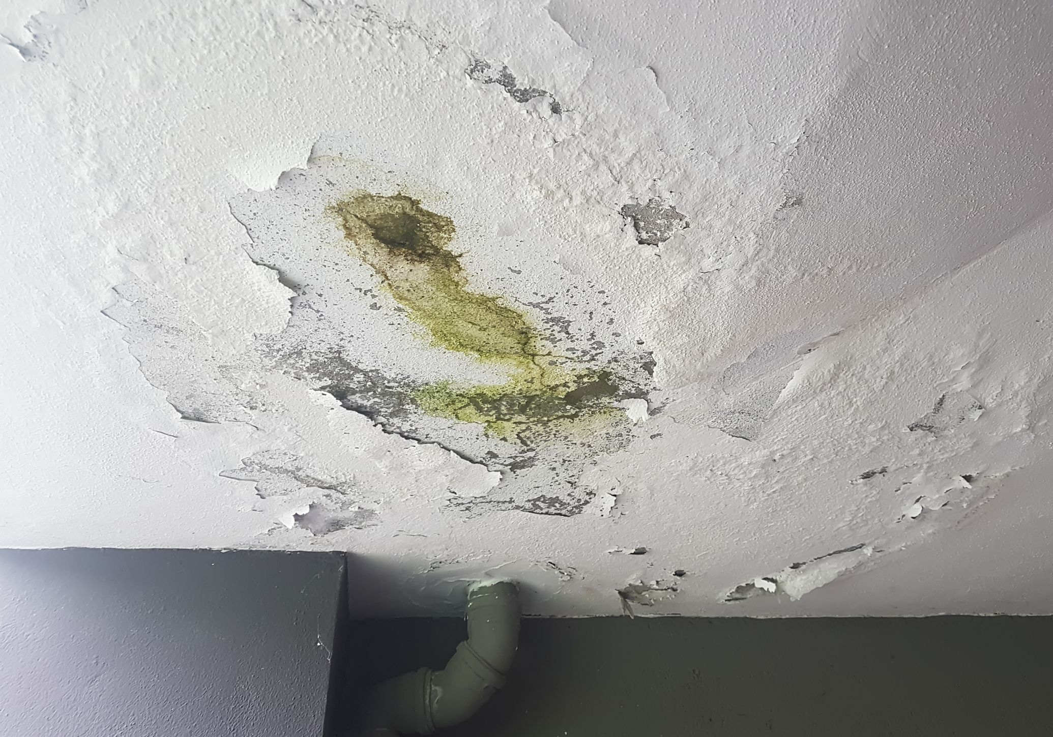 Ceiling mold