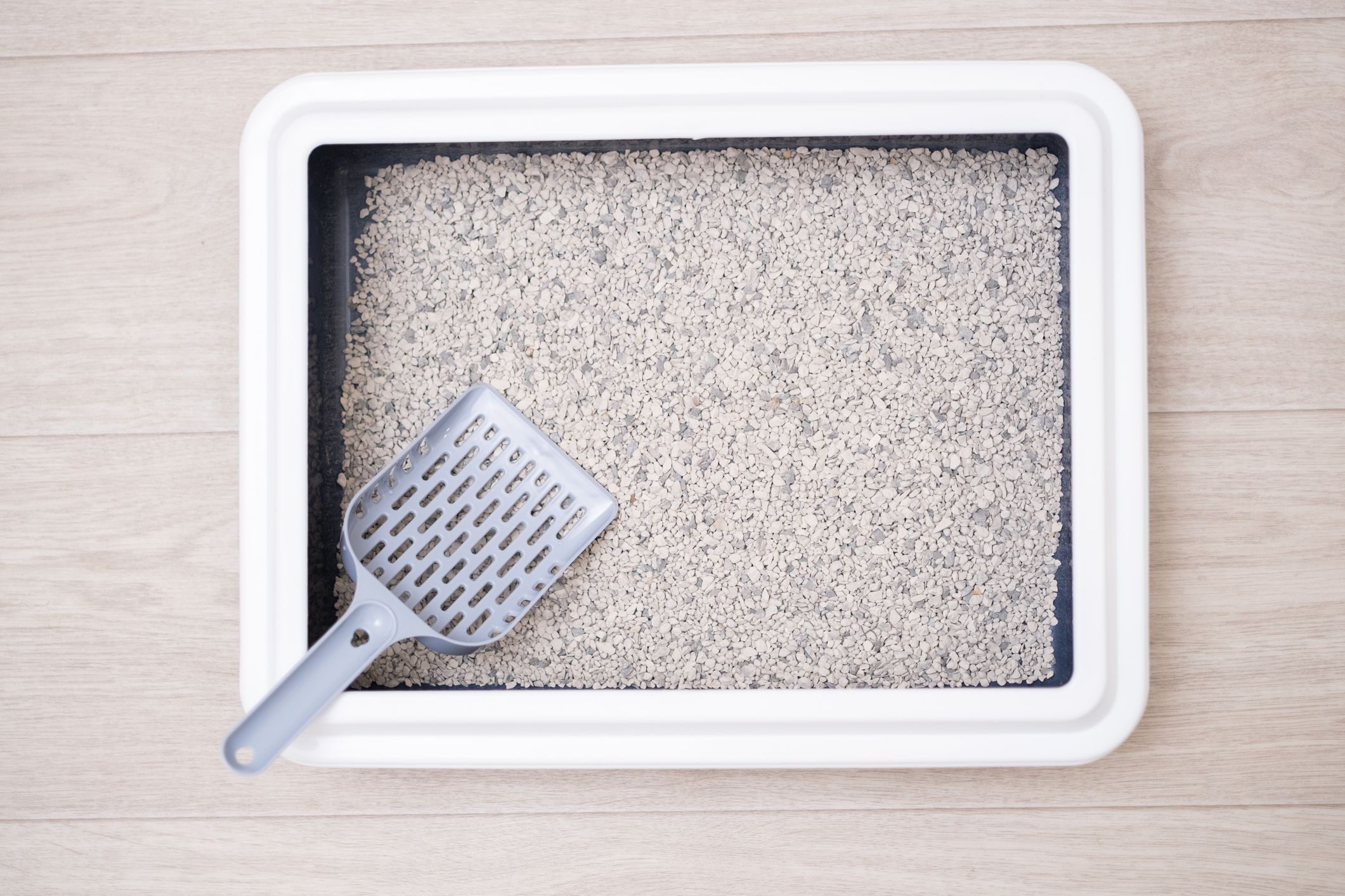 Cat litter box with stone litter stands on the floor. Cat litter box with scoop.
